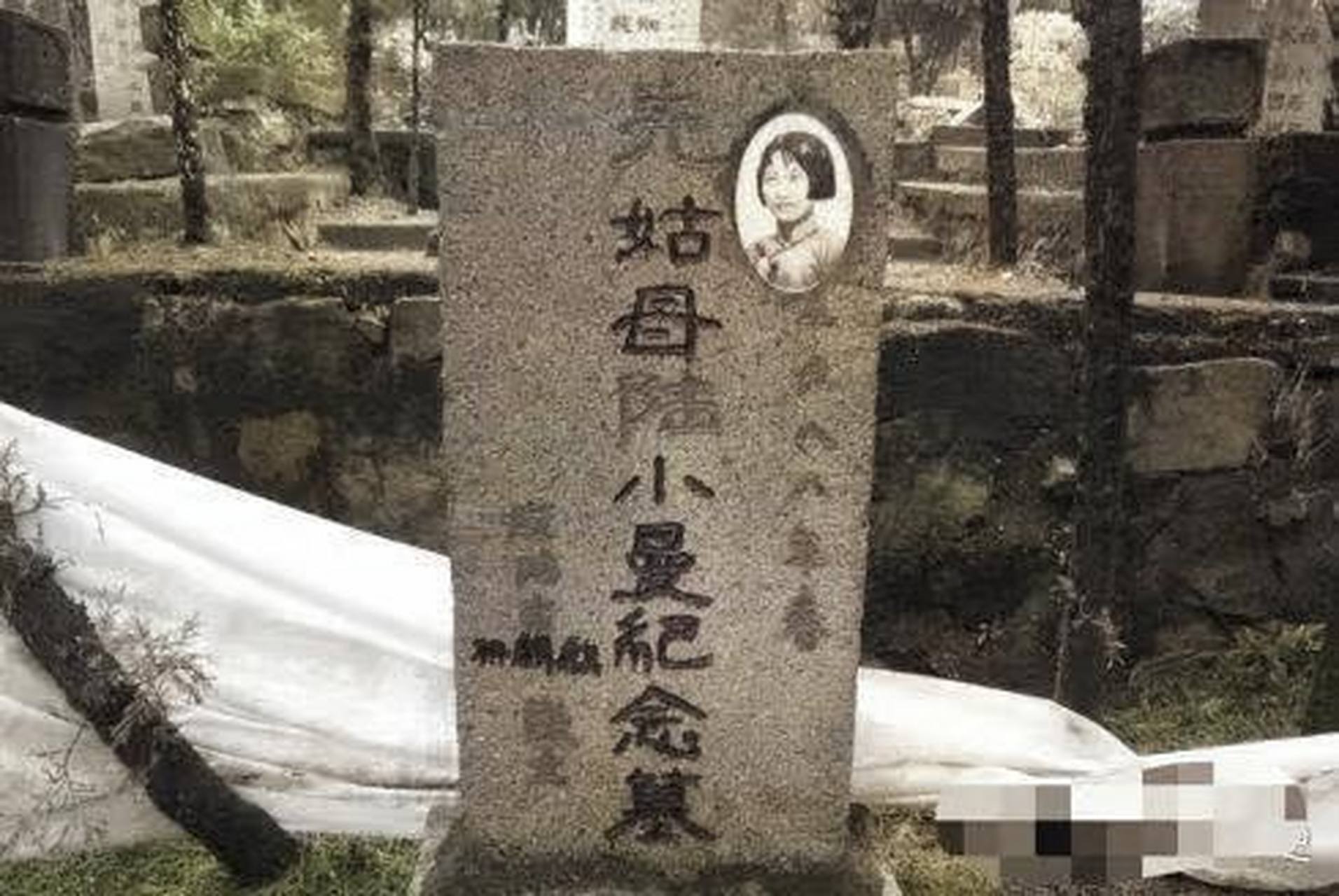 在她的晚年,陆小曼曾在沃尔画师.