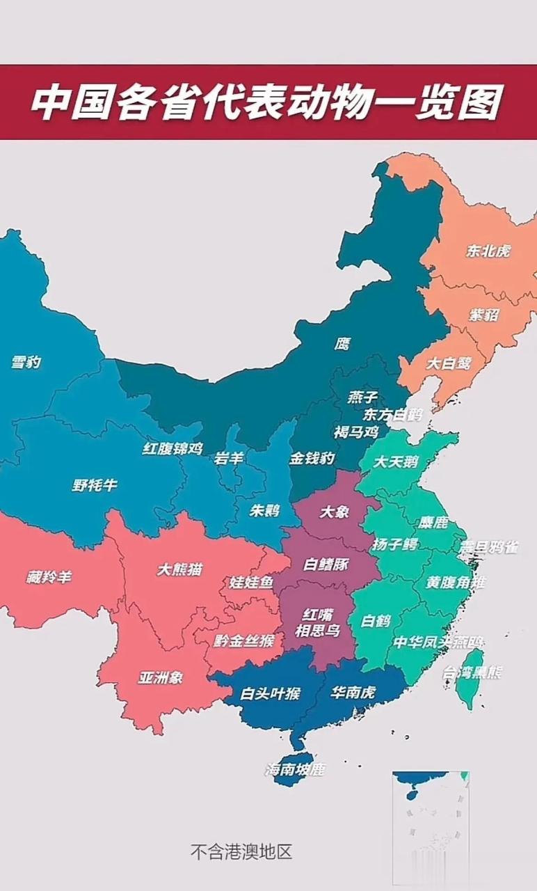 各省份代表动物一览图听说四川人均一个熊猫,以前还能骑熊猫上学,不
