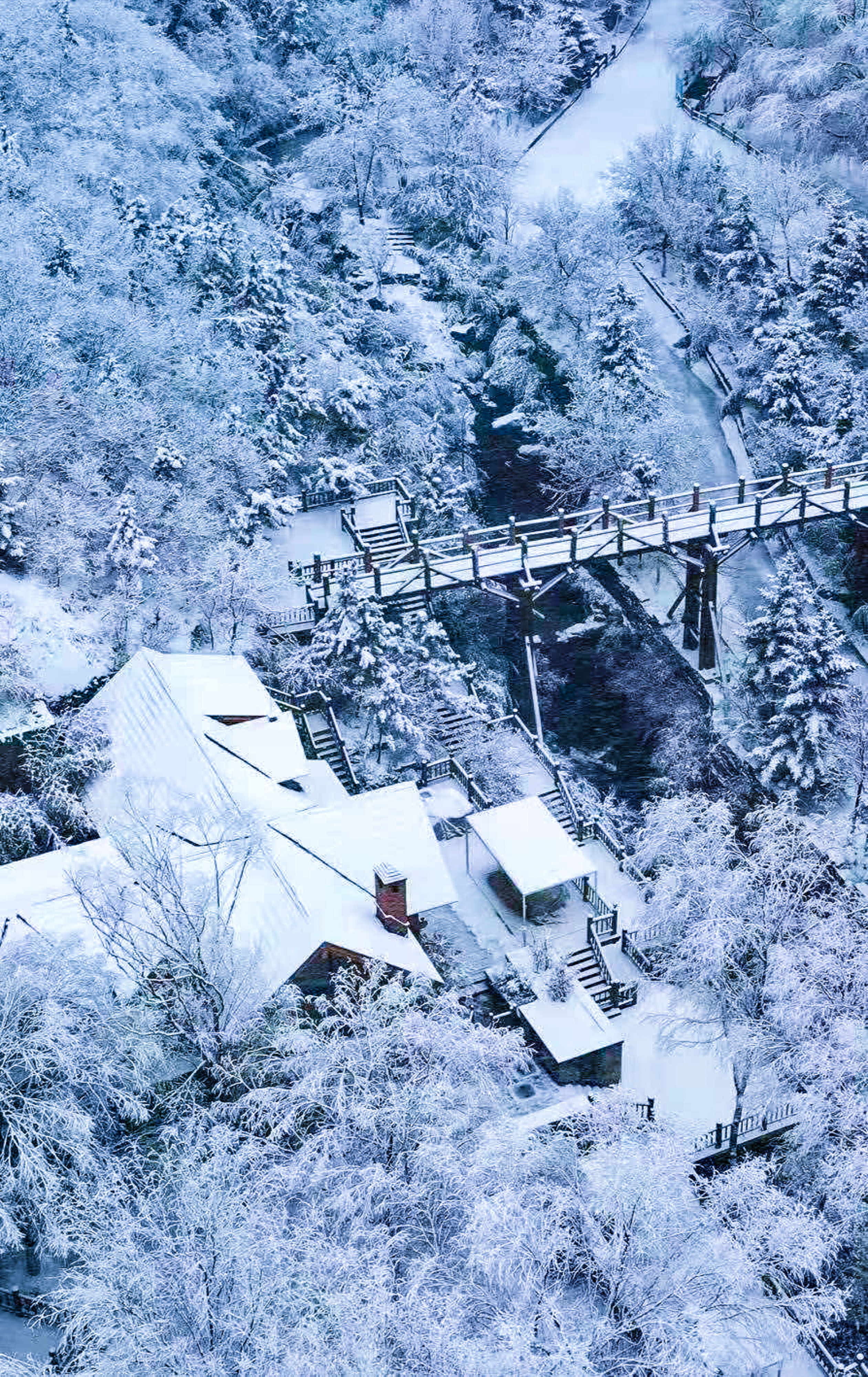 济南雪景图片大全图片