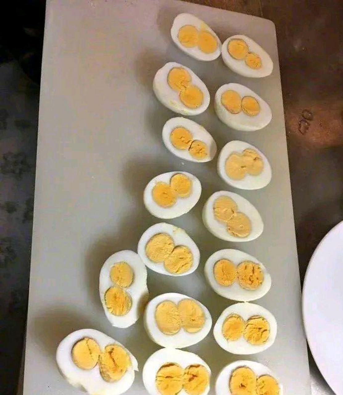 什么样的概率出现这么多双黄蛋