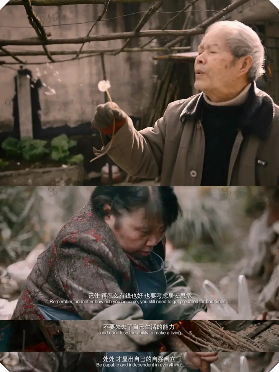 《四个春天》是一部真正戳心,令人催泪的纪录片,引人深思