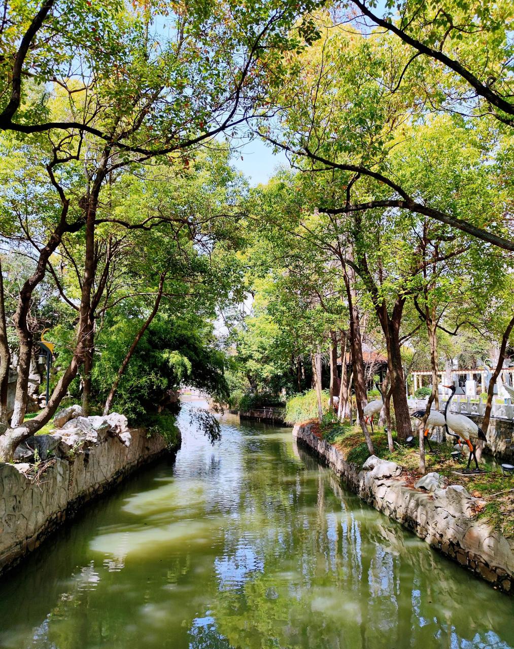 仙鹤湾,在泰兴市鼓楼东路以南,泰兴中学对面,曾是一处有水有林,鹤步