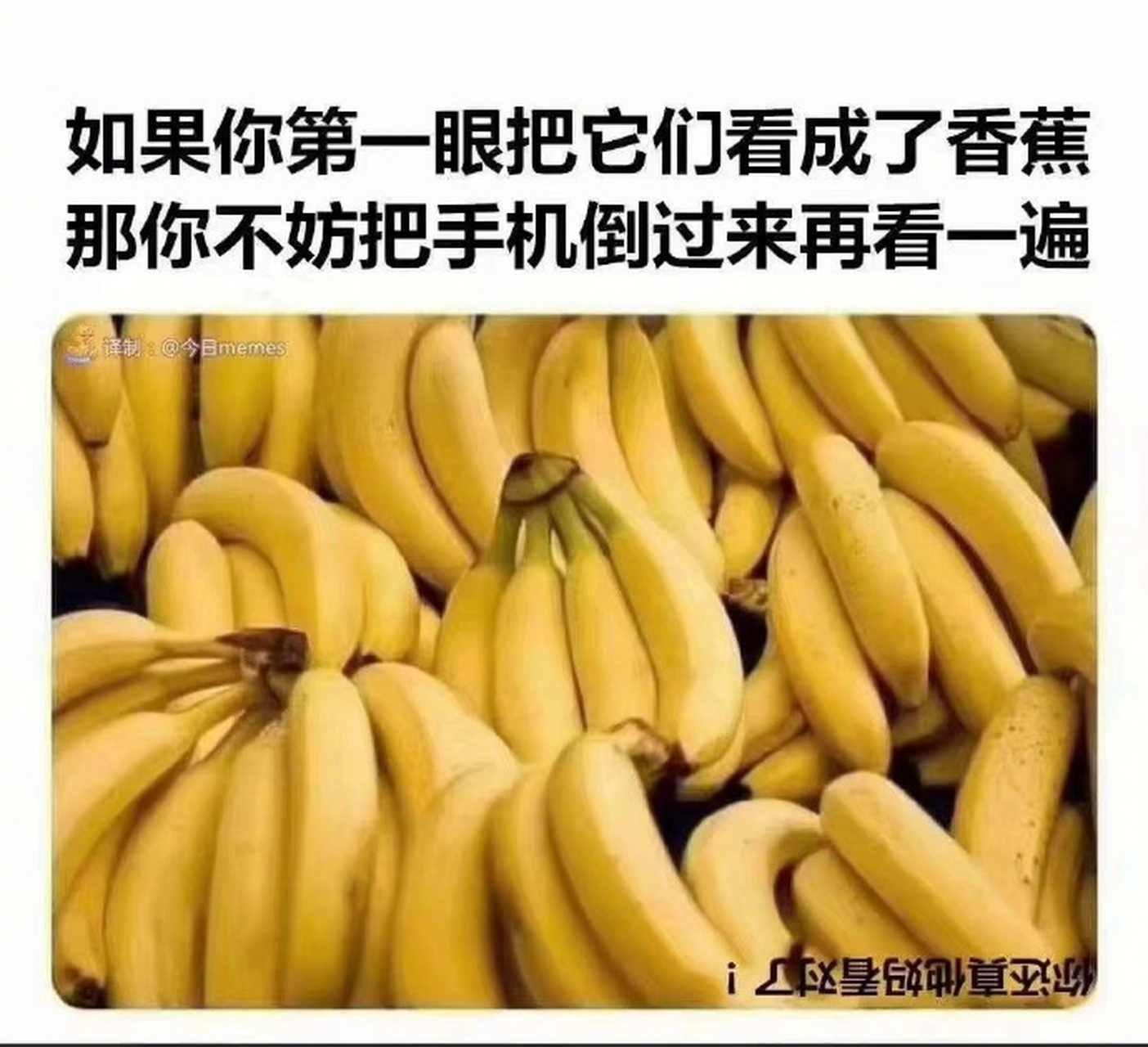 倒过来变另一图图片