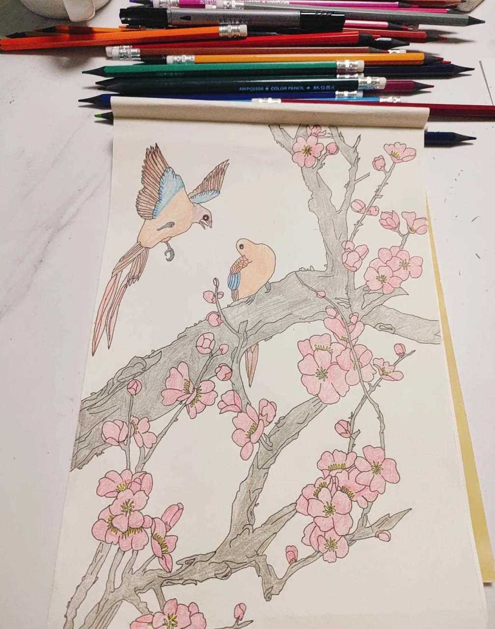 不与群芳争绝艳,化工自许寒梅.彩铅手绘习作一幅梅花图[笑]