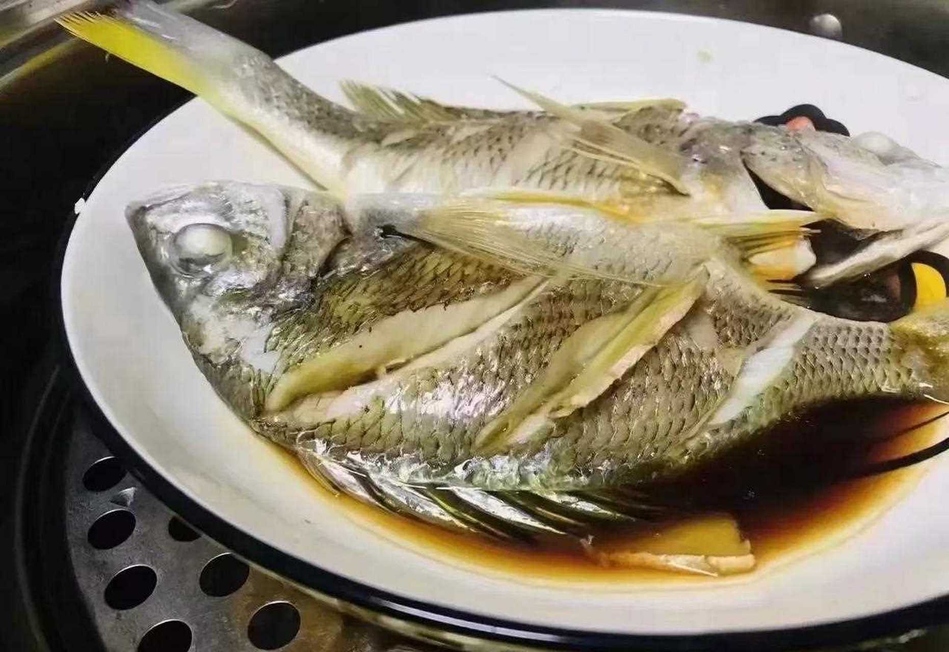 海钓黄立鱼黄翅鱼孕妇宝妈健身减肥的朋友看过来,高蛋白低脂肪,营养