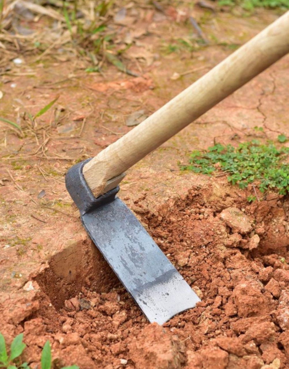 只要锄头挥得好,没有土地挖不了!