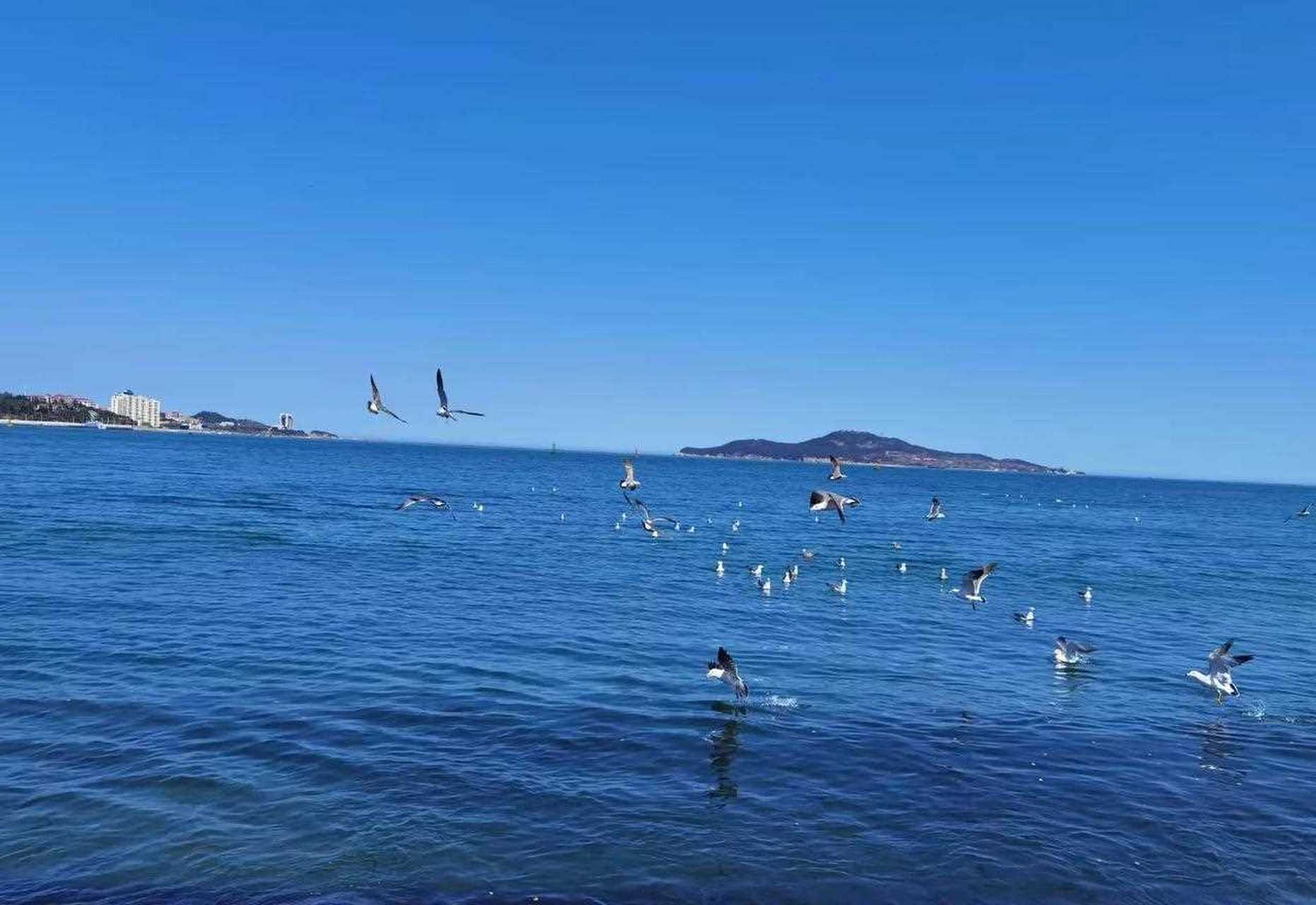 威海石岛湾,小城市的故事.[微笑]