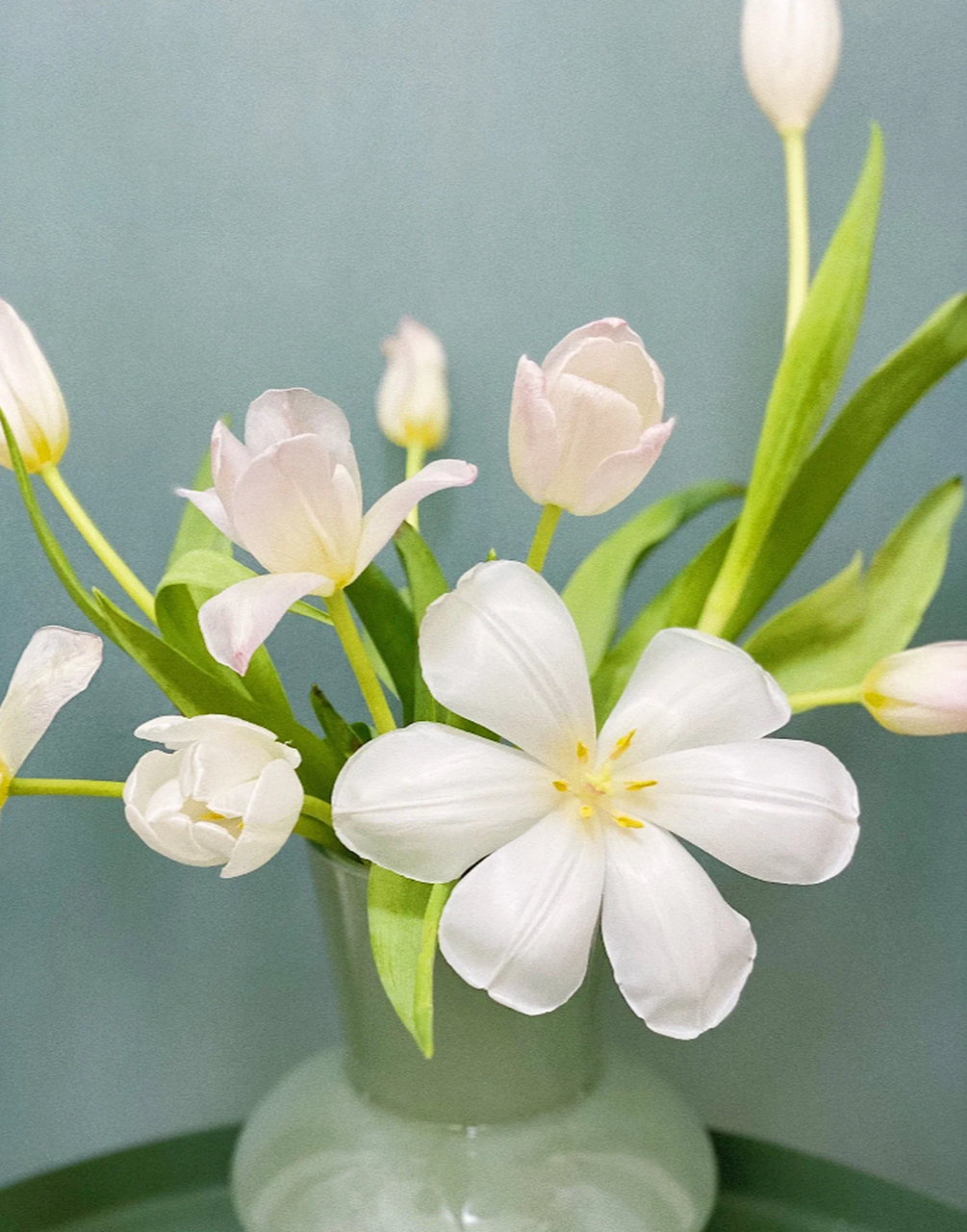 郁金香花蕊要剪掉么图片