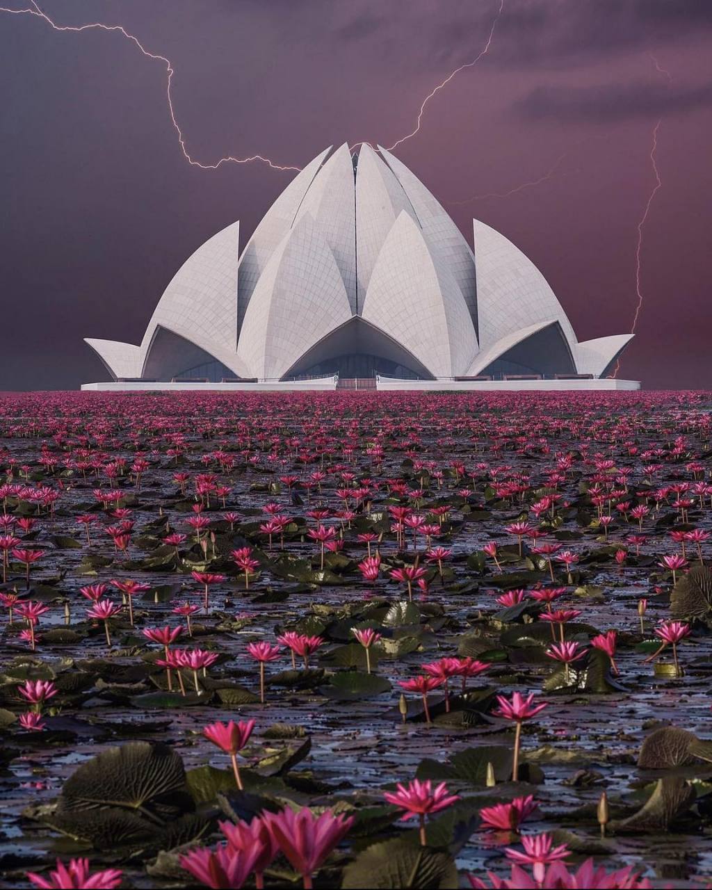 莲花寺(lotus temple),印度新德里 by kristina makeeva  莲花寺是