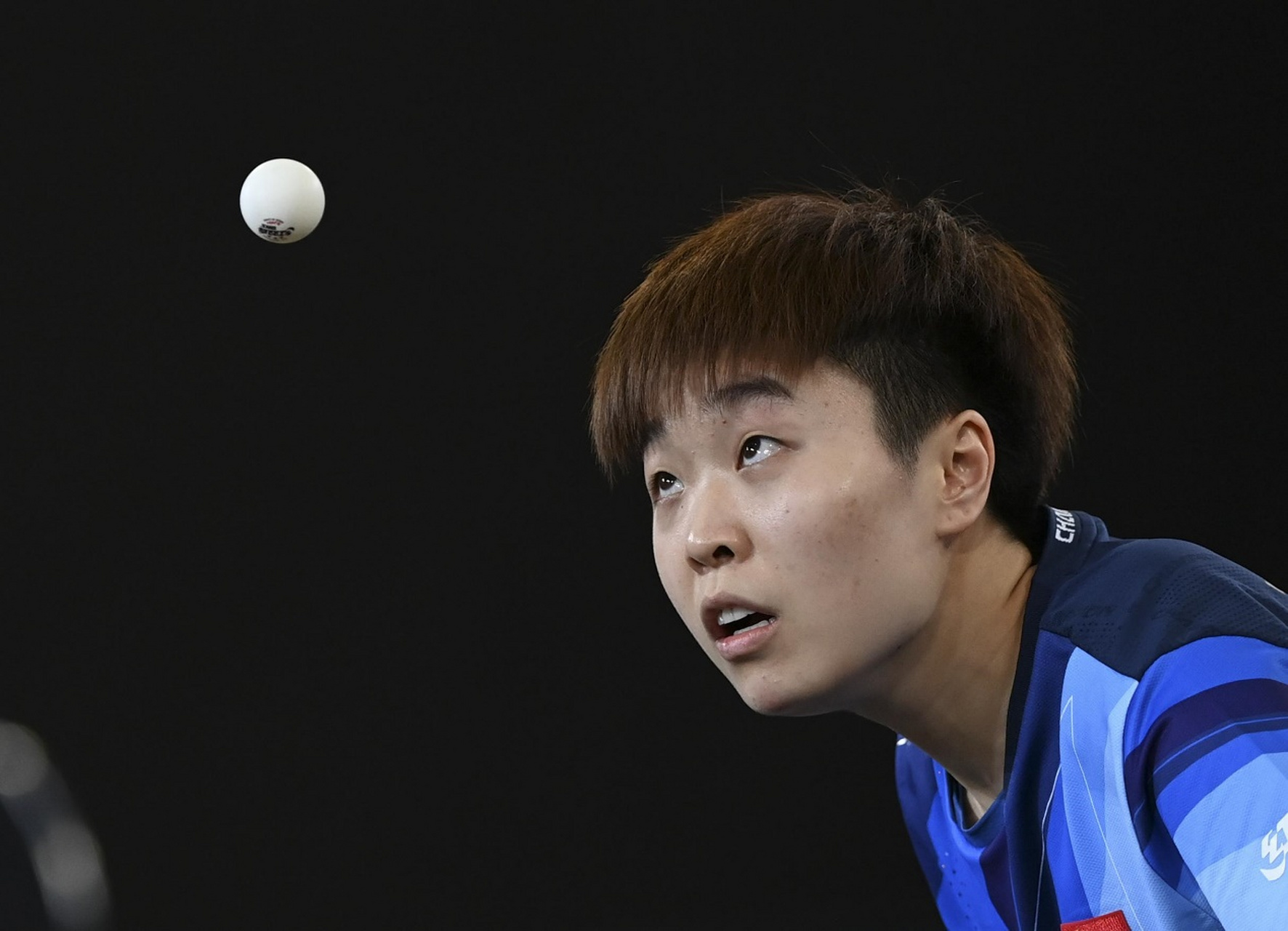 5大猛将前往日本效力!国乒面临人才流失,25岁世界冠军最可惜