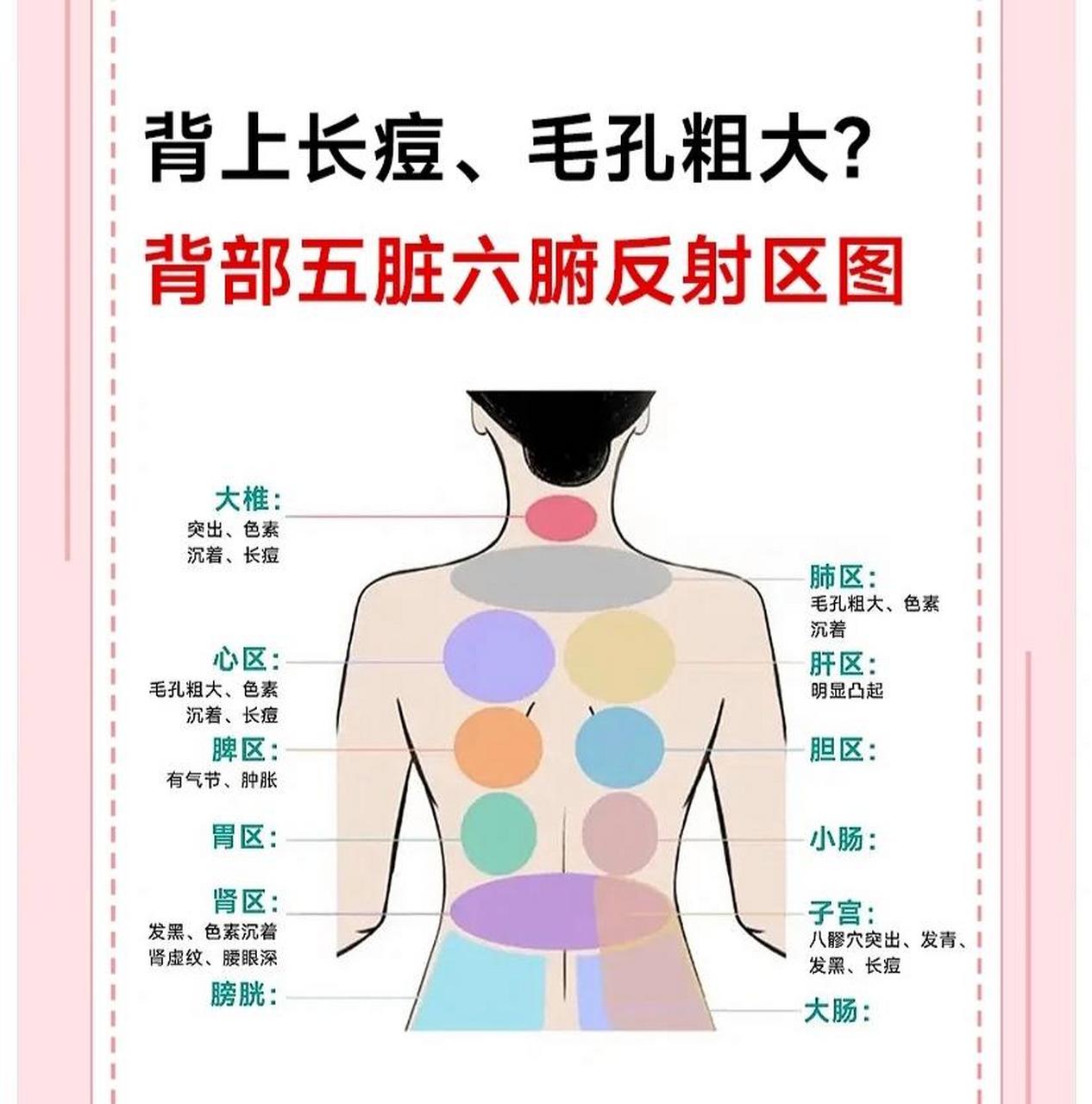 后背痦子位置解说图女图片