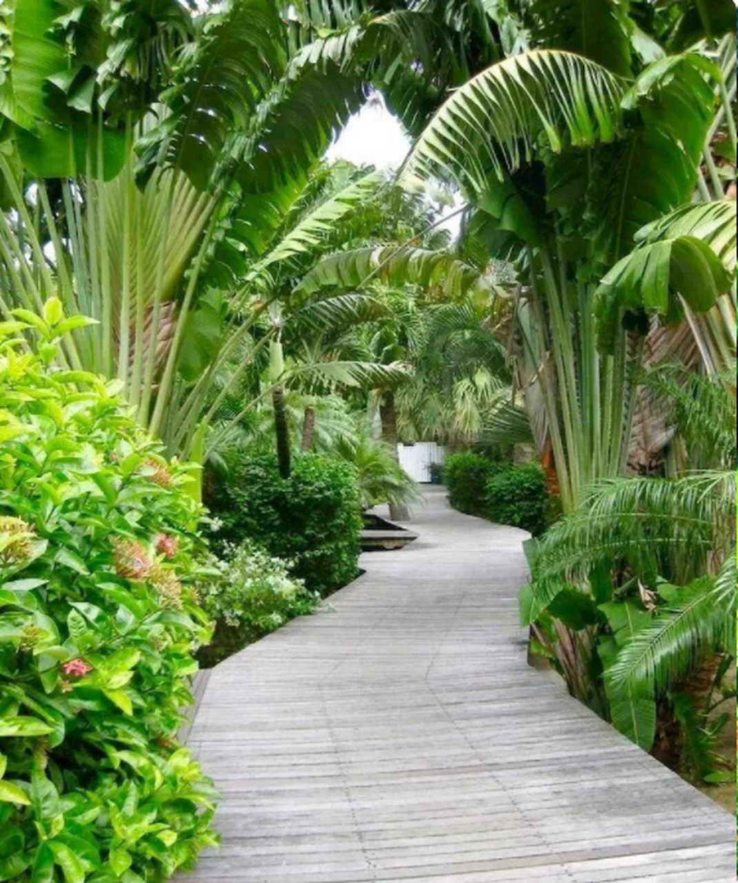 在庭院中兴建一条悠然小径,将为整个空间增添一份宁静和宜人的氛围.