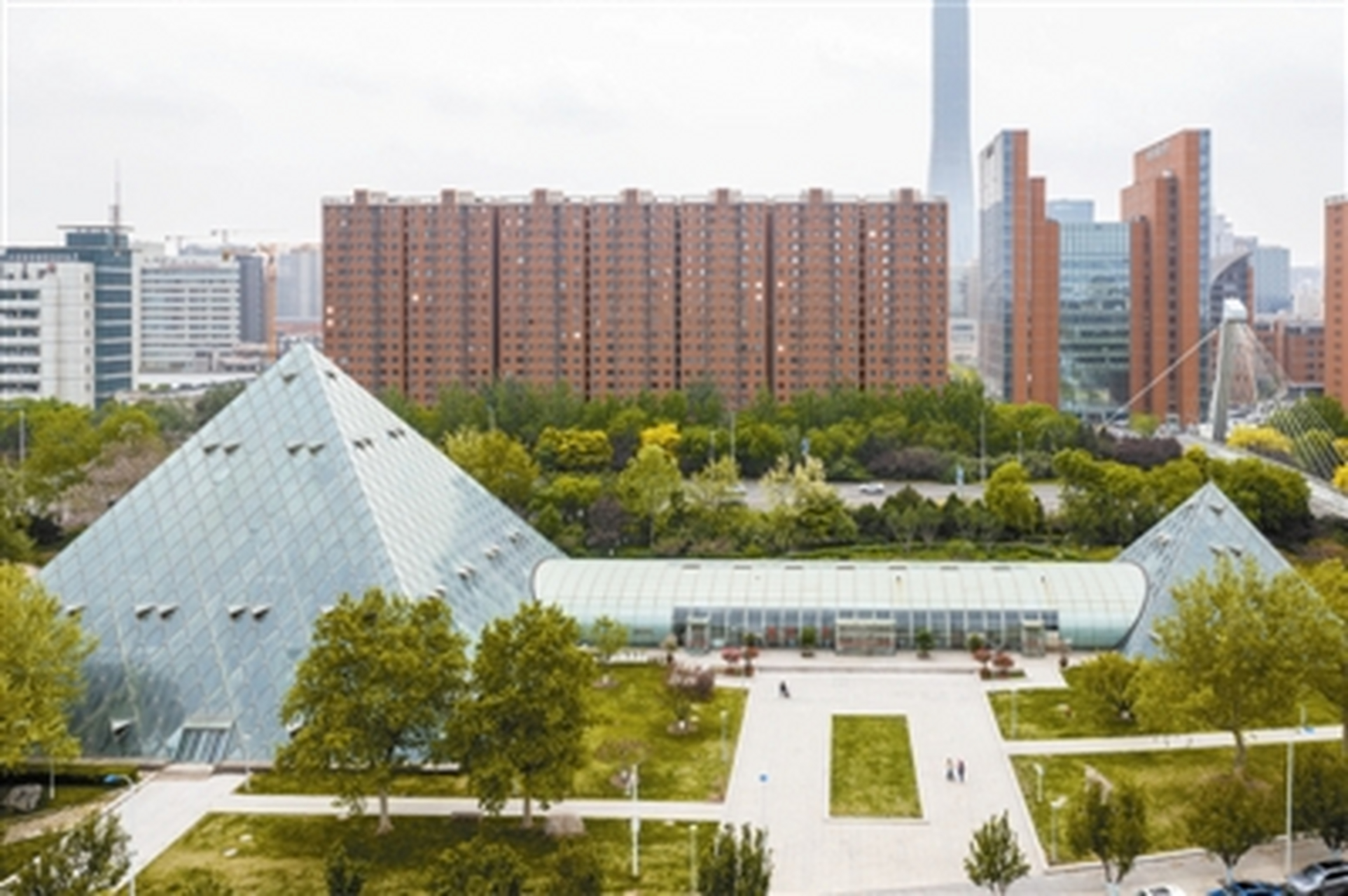 天津泰达热带植物园恢复开园  近日,泰达热带植物园恢复开园.泰达热带