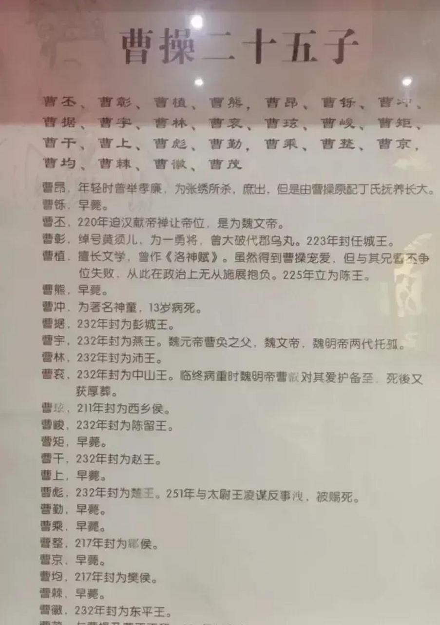 gif创作人 曹操二十五子,这图可以了解到曹操一大家族