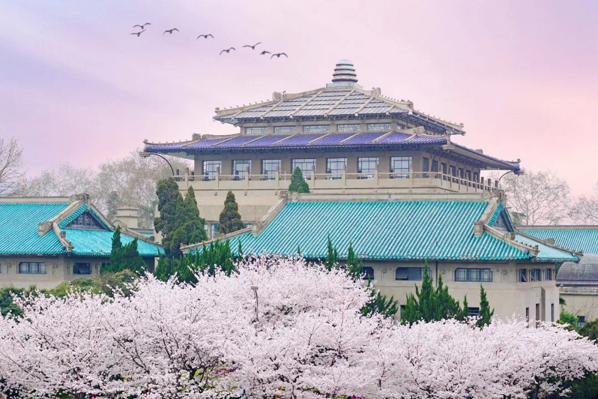 武汉大学是中国著名的风景游览地,为国家5a级旅游景区东湖风景区的