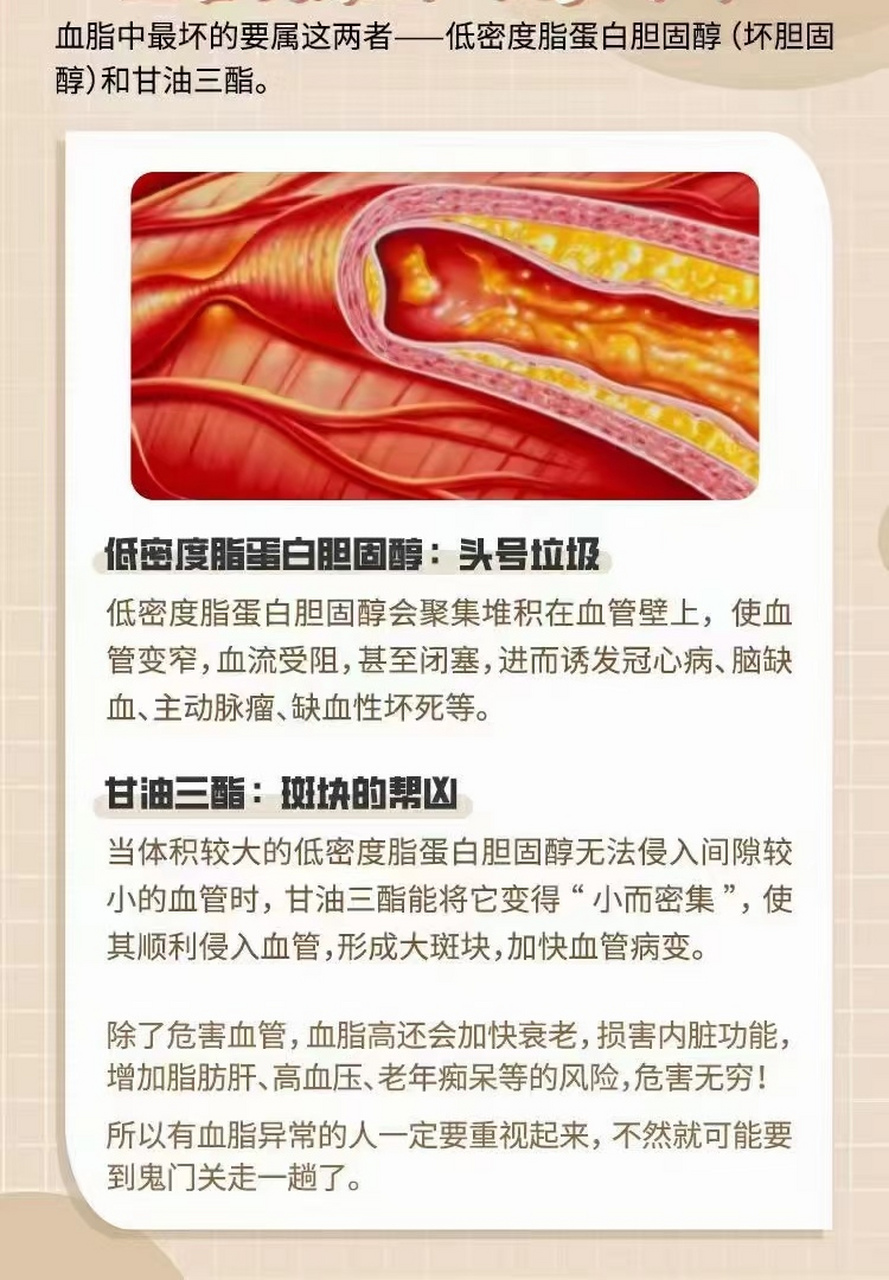 血管健康的"无声杀手"  "隐秘杀手"高血脂堵塞血管,累坏心脏,危害大