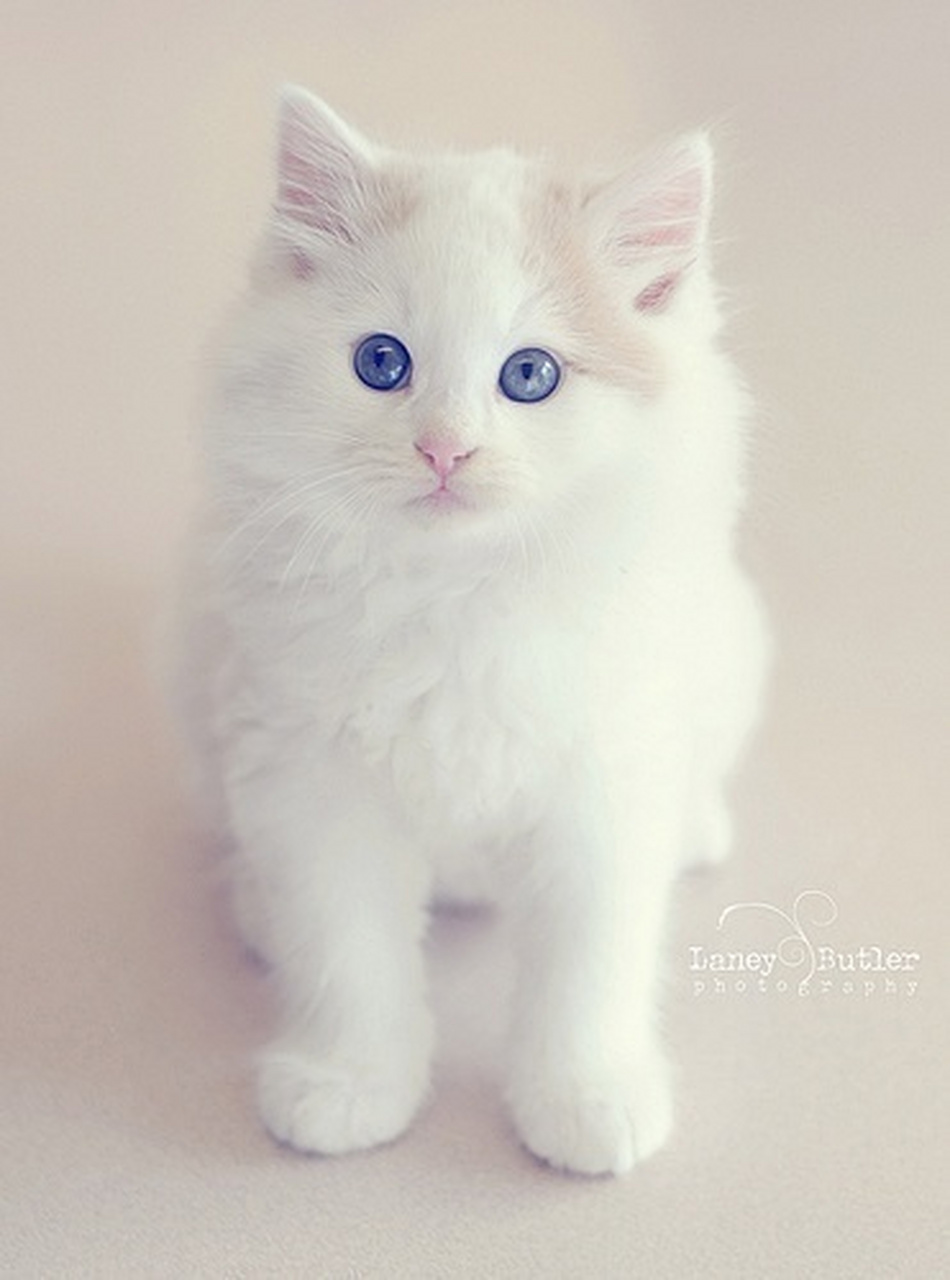 持躬唯谨唯慎,孜孜以德自绳;诸事扪心反省,待人一秉至公.