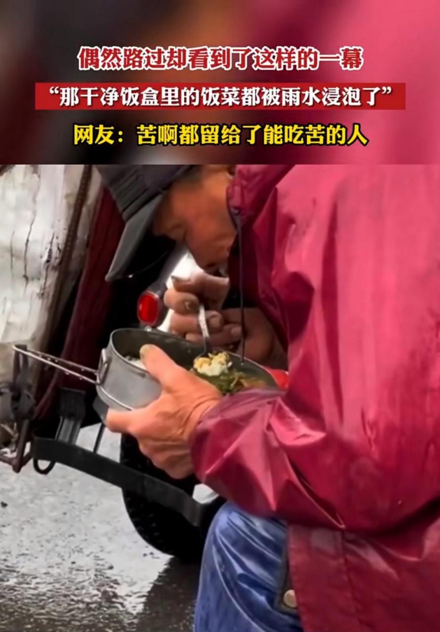 网友:苦啊都留给了能吃苦的人