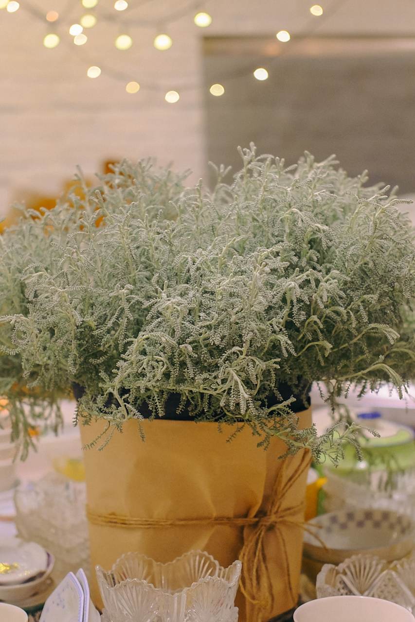 文法:动词た形/ ない形 まま       名词 のまま  解析:まま是一个