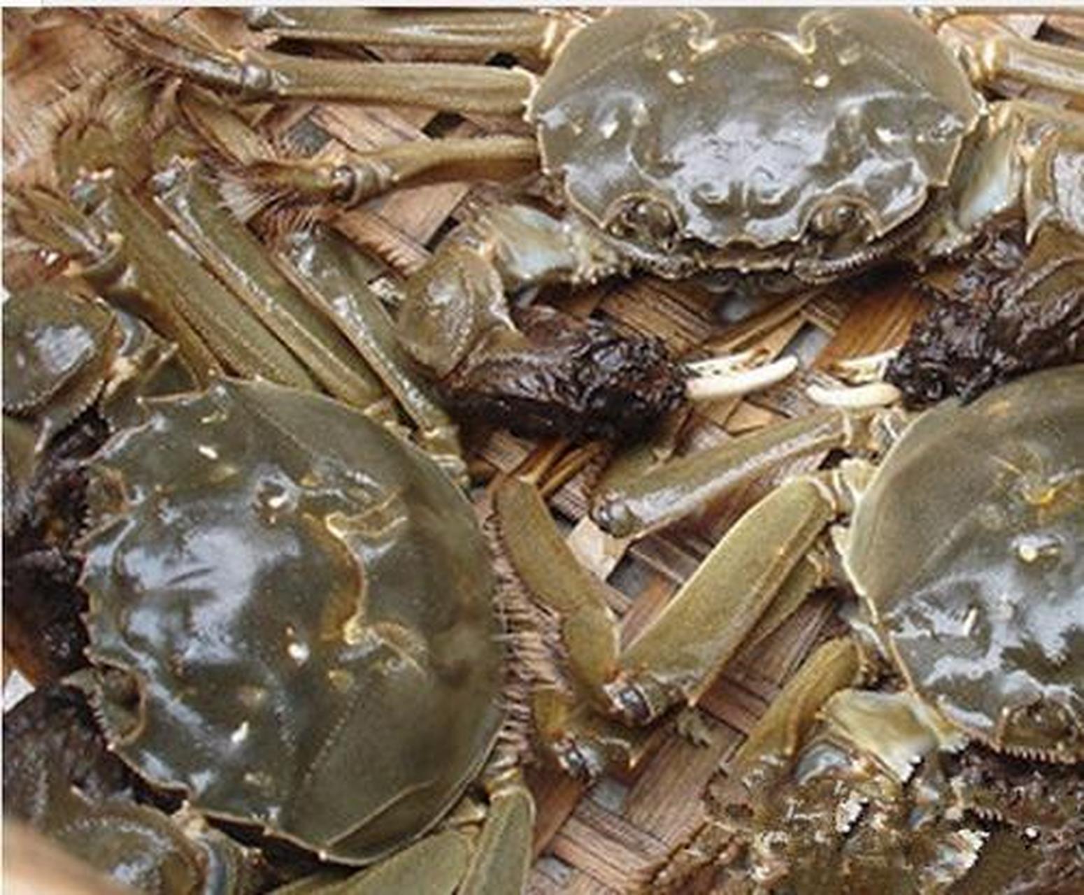 美食教程#大闸蟹:要说中国哪里的淡水蟹最好,大家