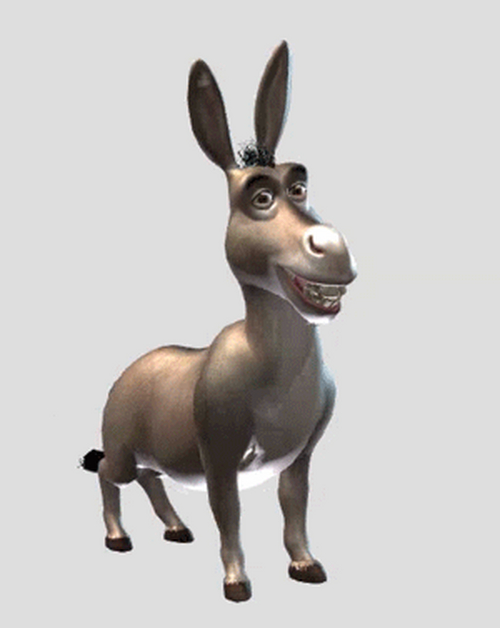 动态30天打卡挑战#  #马户#  触须大叔,不费流