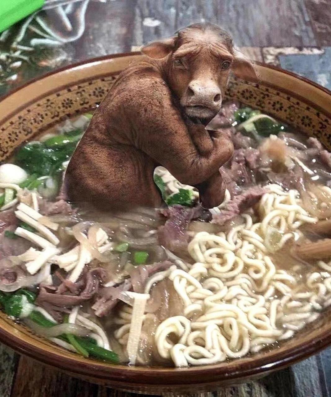 网友:吃面吗?牛肉面,羊肉面,鸡肉面都有哦[滑稽] #趣图搞笑