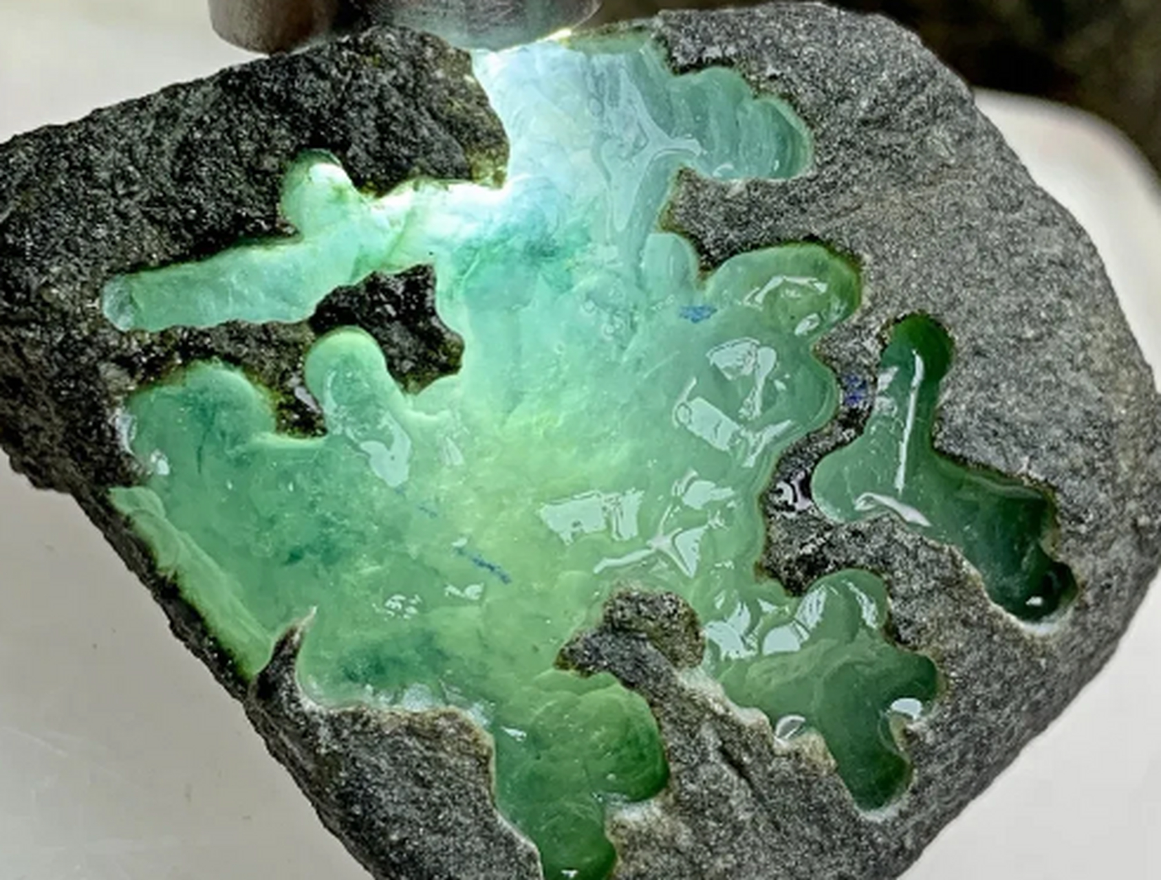 点击头像看直播##翡翠原石#莫西沙开窗冰飘花精品挂件料,品质货,毡