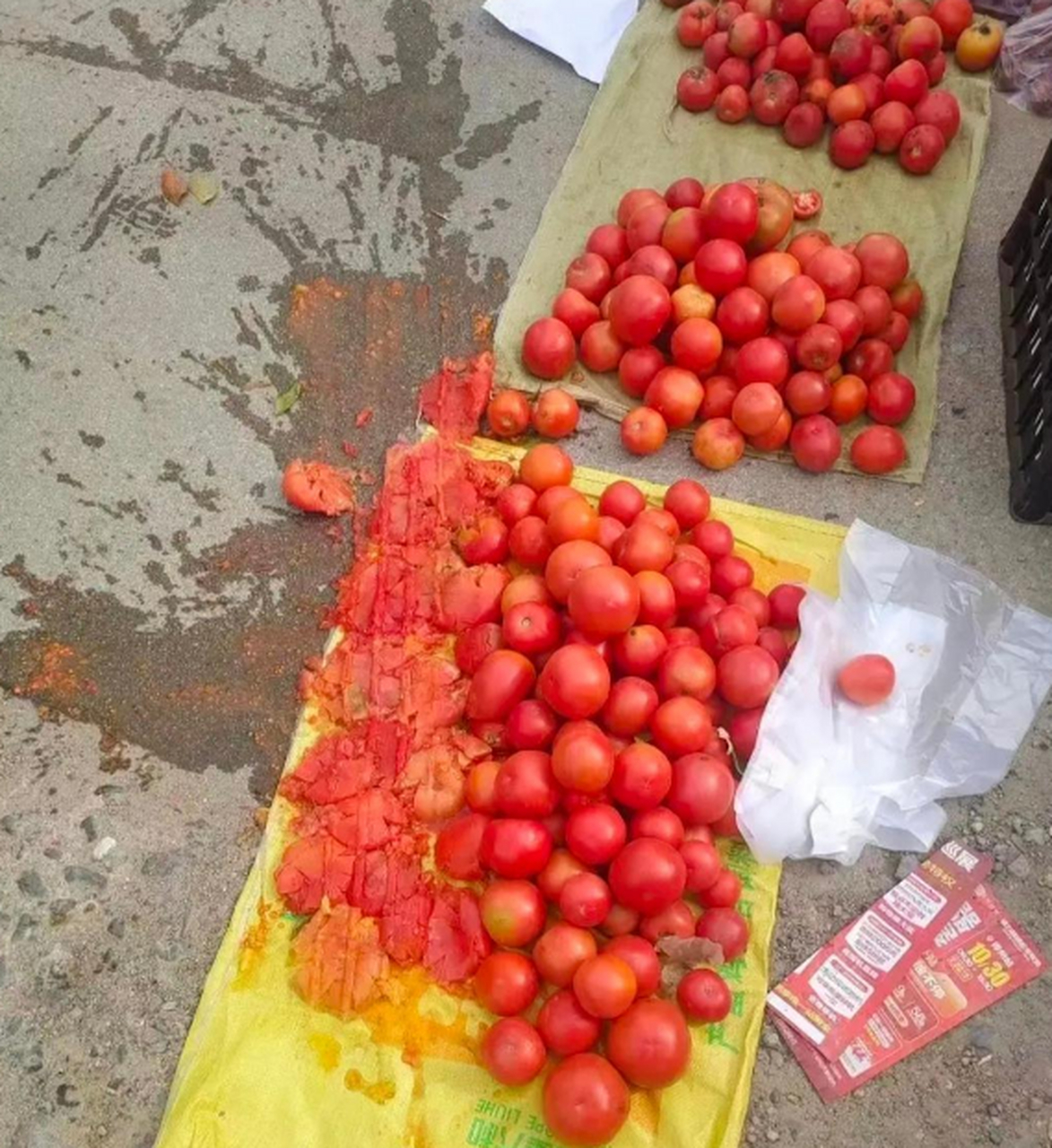 第一天摆摊,番茄就被车给压了,有认识这是什么车的吗?我好去索赔