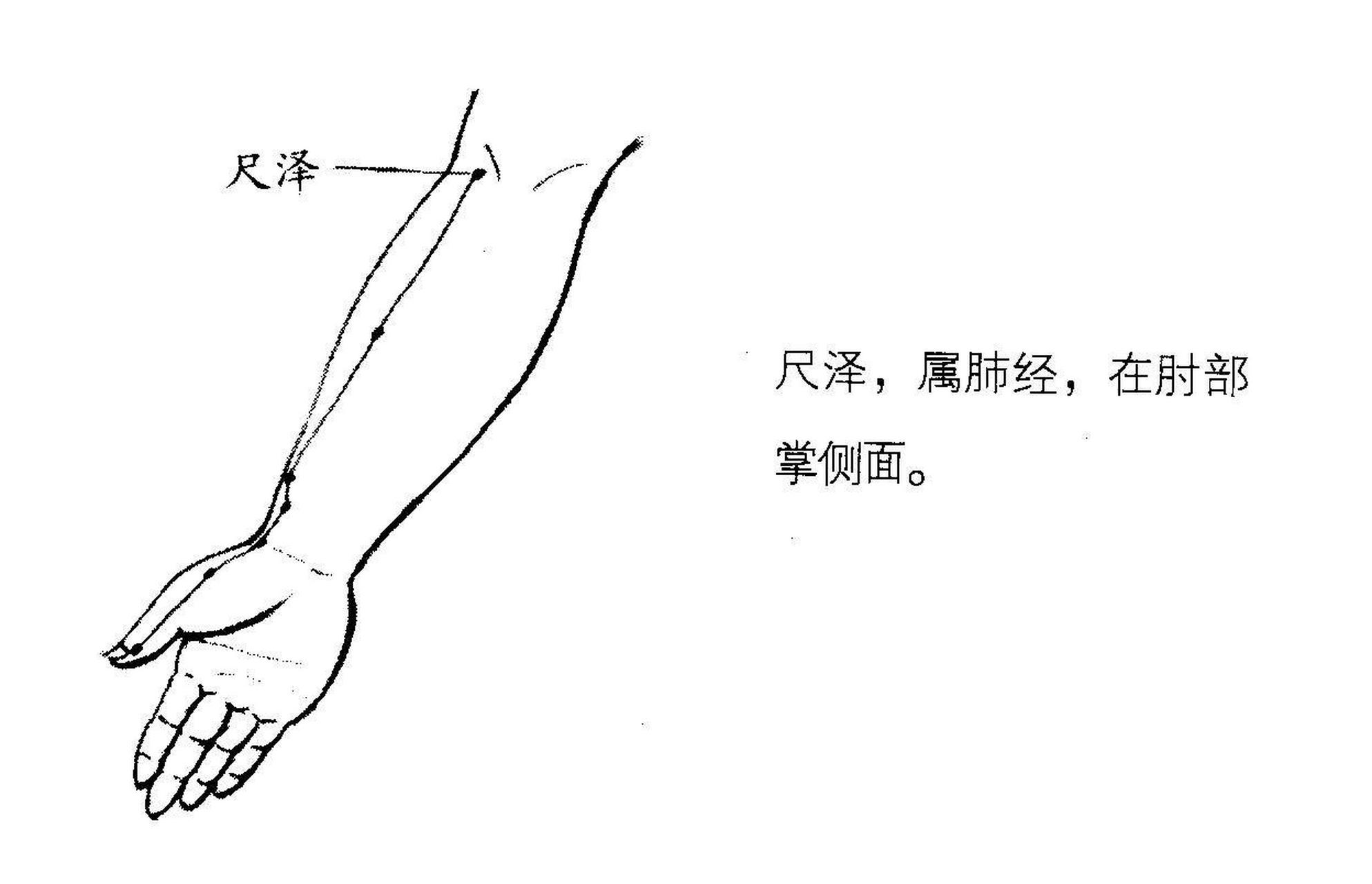 小儿推拿分推肩胛骨图片