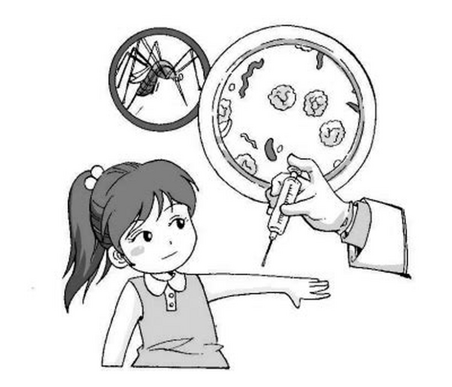 乙型脑炎又叫流行性乙脑病毒,英文简称jev,是一类急性传染病,得了此病