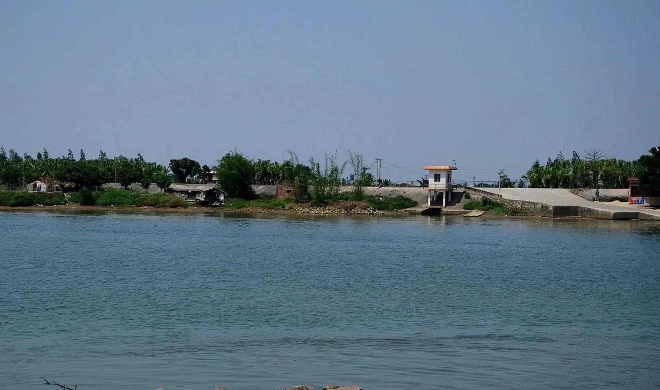 西江上有个小岛,名字叫"石板沙",位于江门新会区睦洲镇的东面,四面环