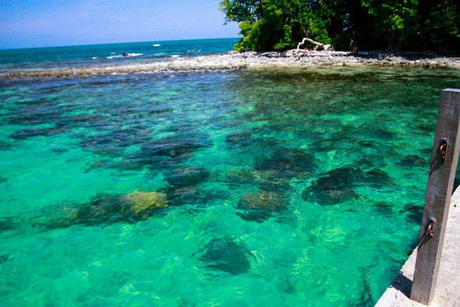 夏日生活图鉴# 蛇岛——巴西:大凯马达岛,又名蛇岛,占地面积43公顷