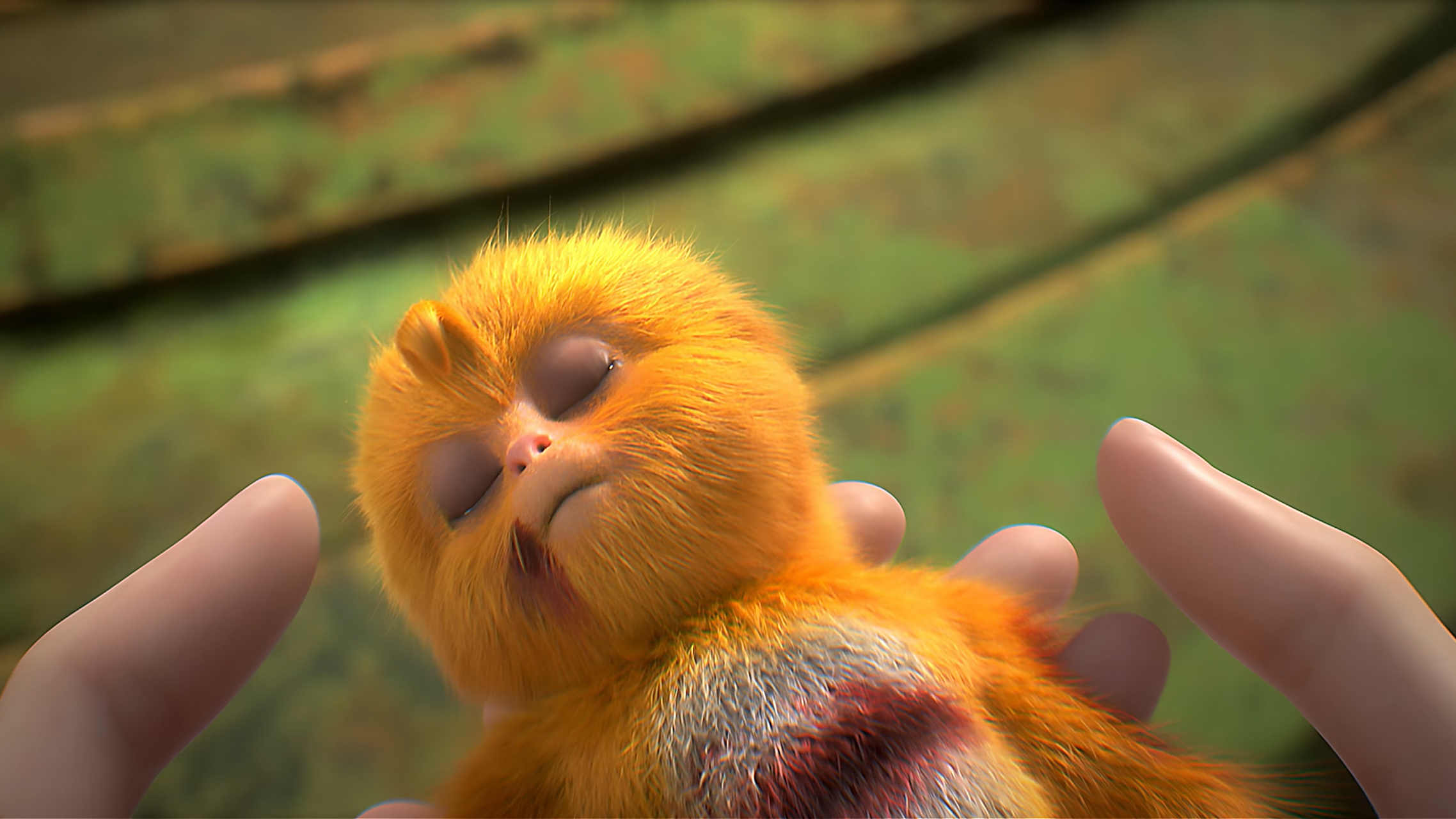 国漫《完美世界》高清壁纸:战损版毛球让人心疼,石昊新模型"荒"让人