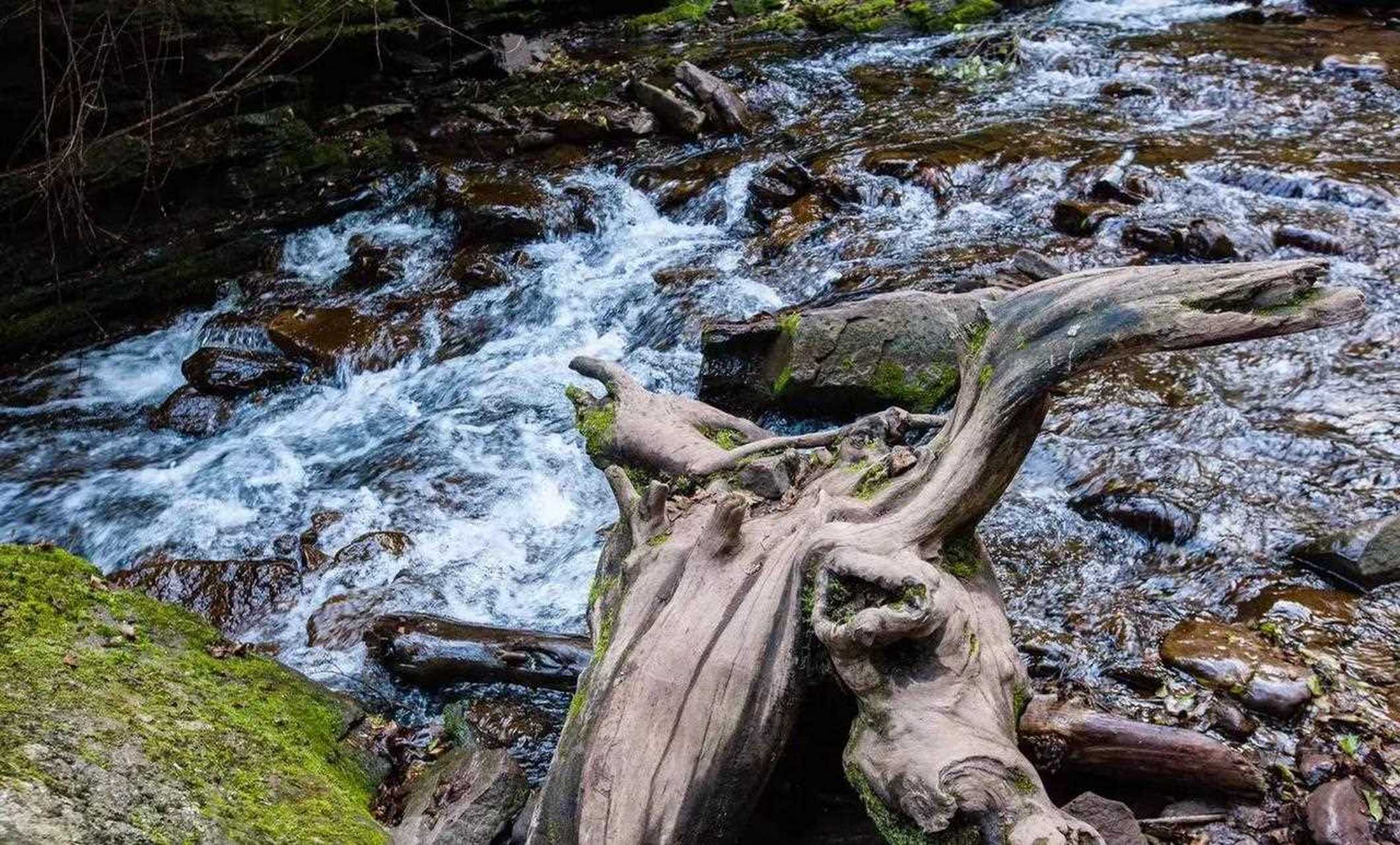 小南川位于六盘山国家森林公园,名副其实的大自然氧吧.
