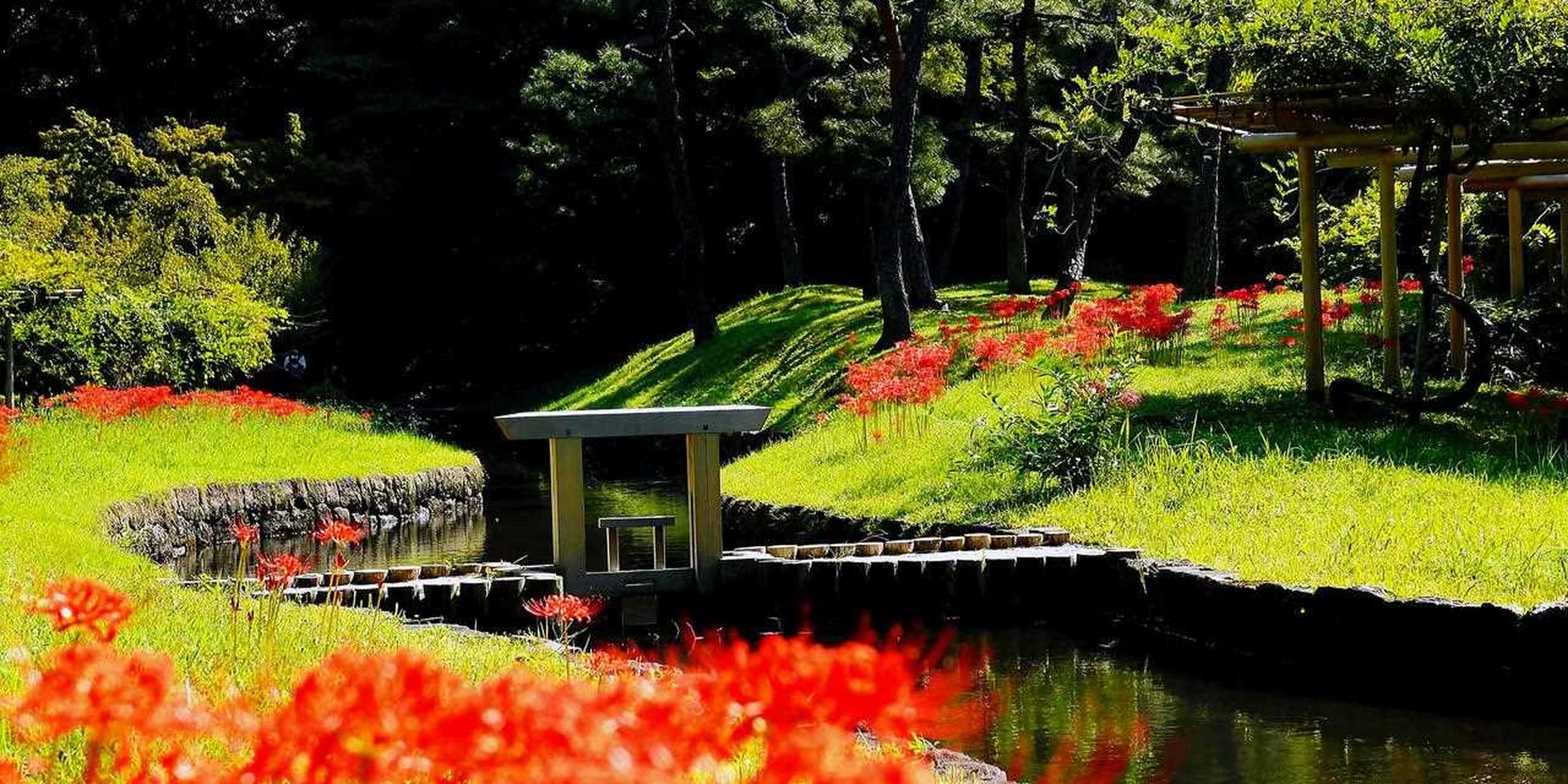 小石川后乐园绝美风光 [阴险] 小石川后乐园建于1629年,是由水户德川