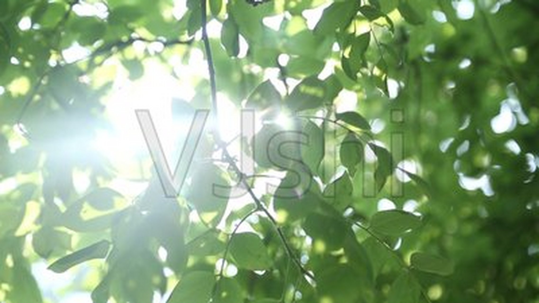 尤其是伤官,更是忍不下这口气.职场困难最多的往往就是食伤女.