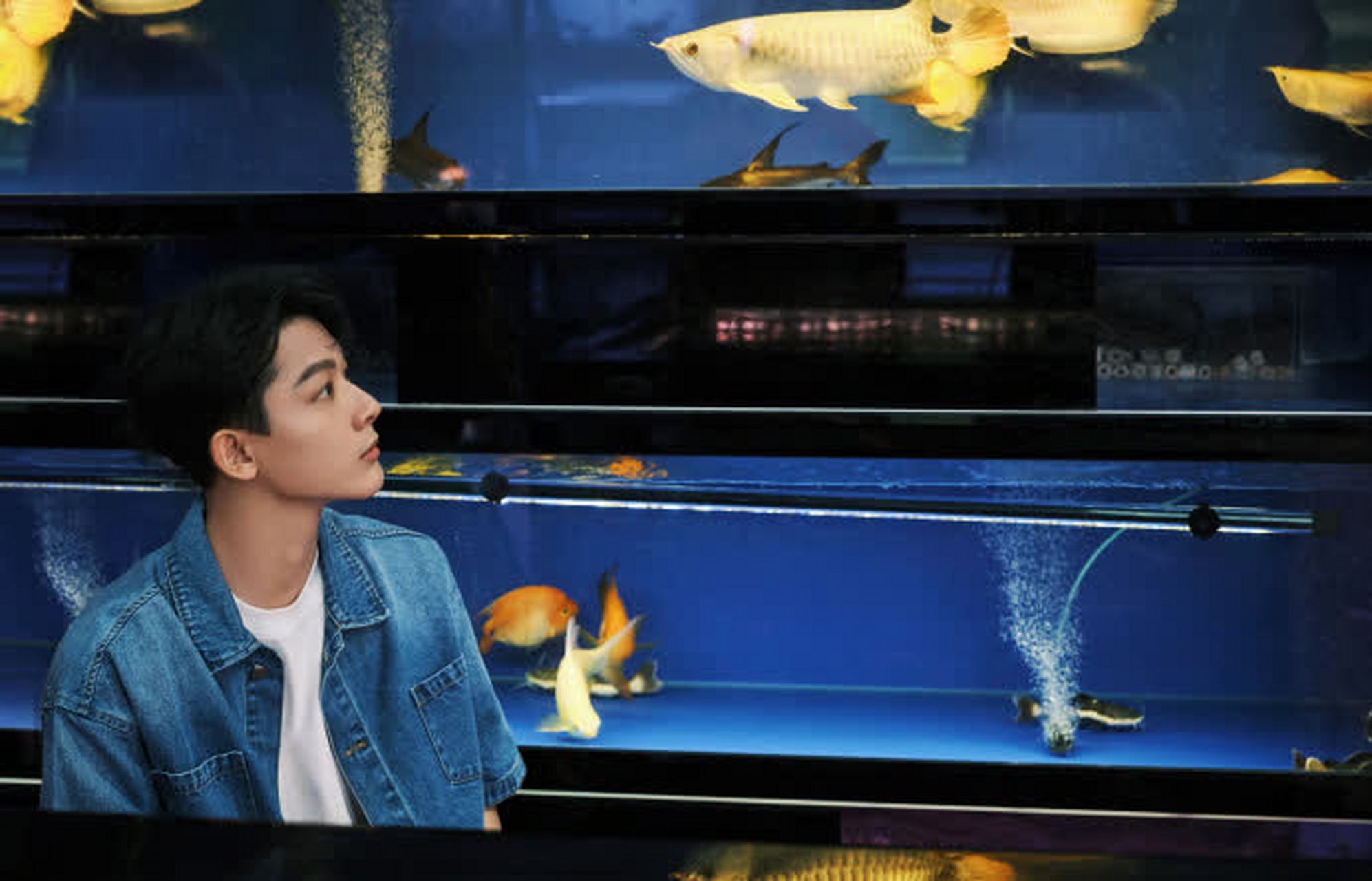 张万一的日常#[嘘]