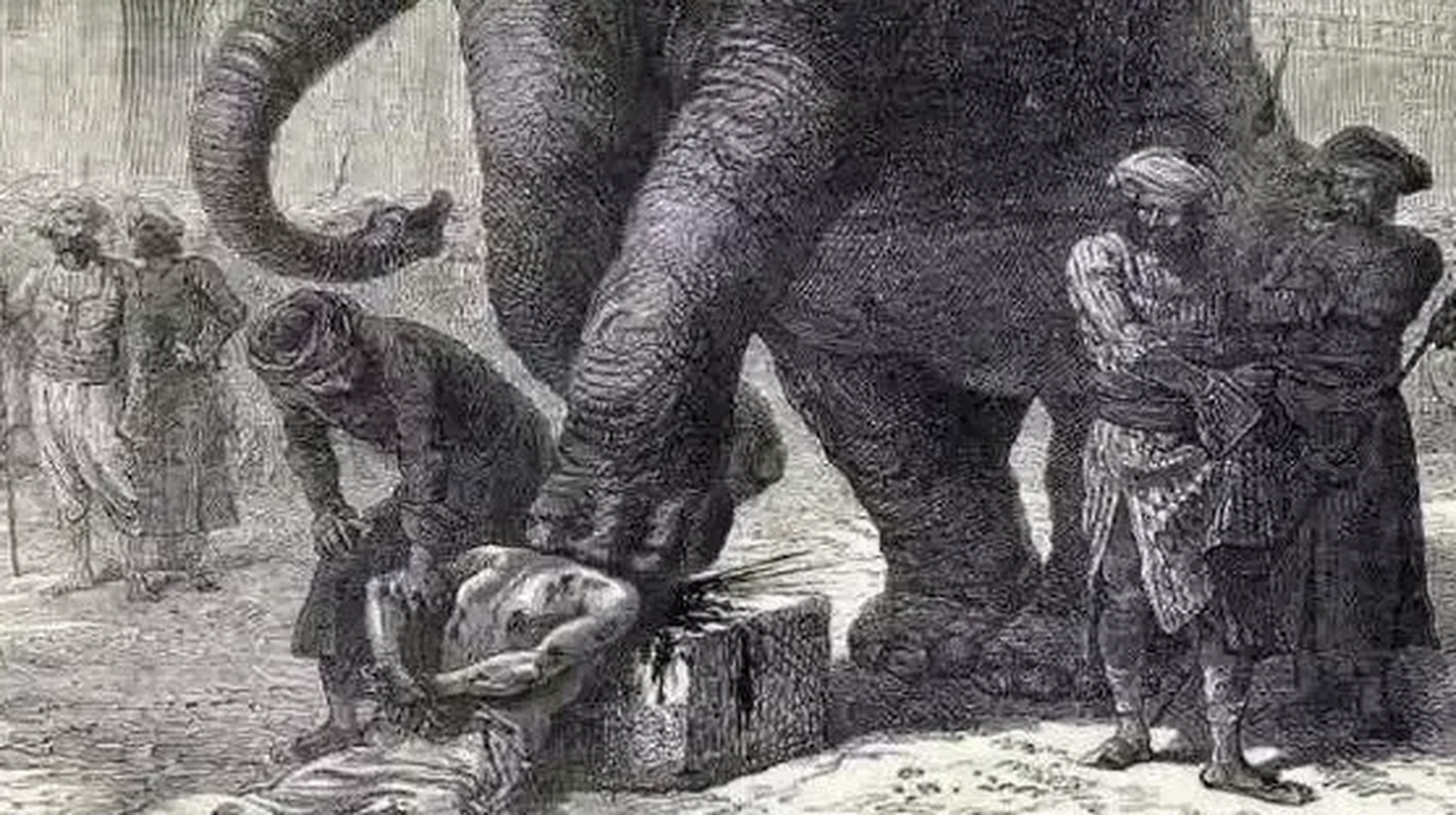 照片为古代流行于南亚的象刑