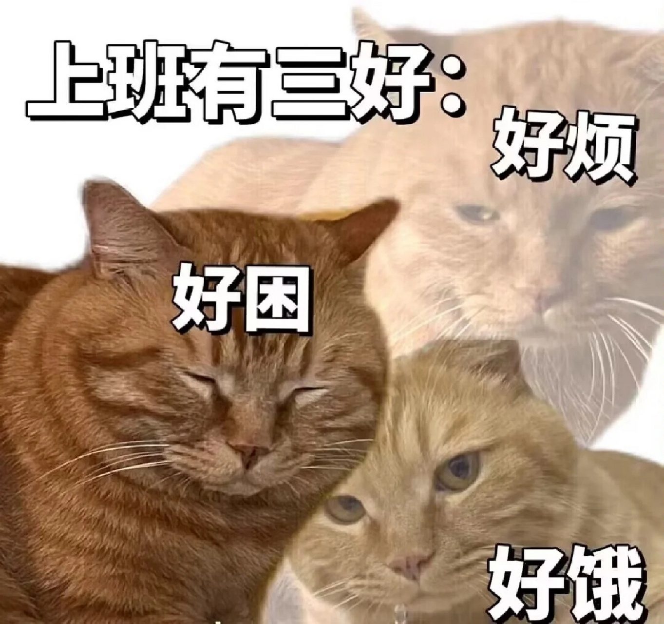 上班有三好,太真实了[捂脸]