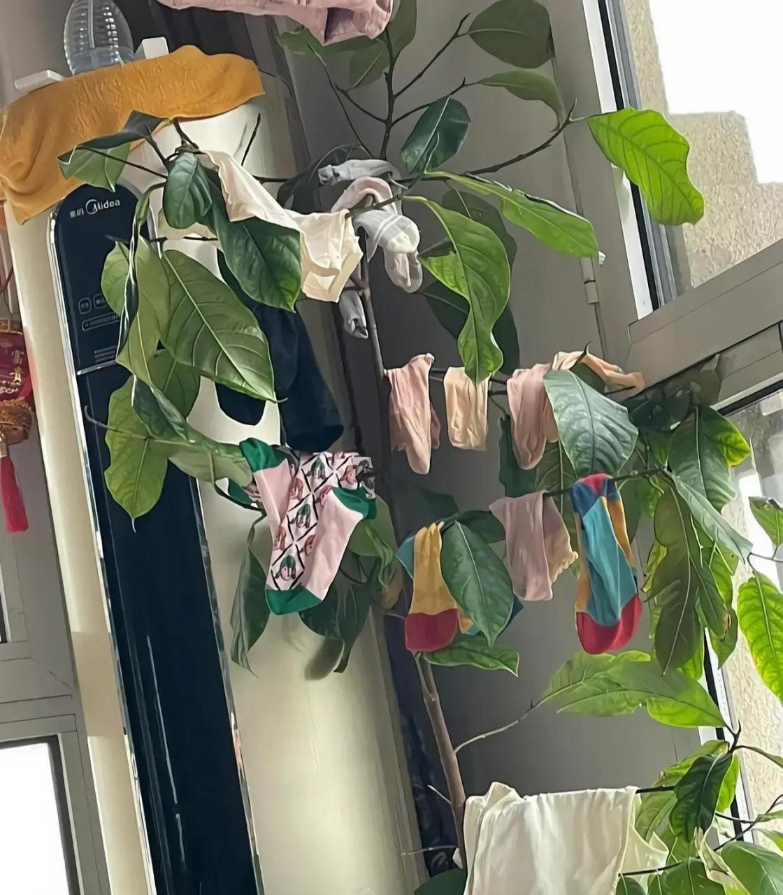 网友:男人晒衣服,真是又快又狠 #搞笑趣味图