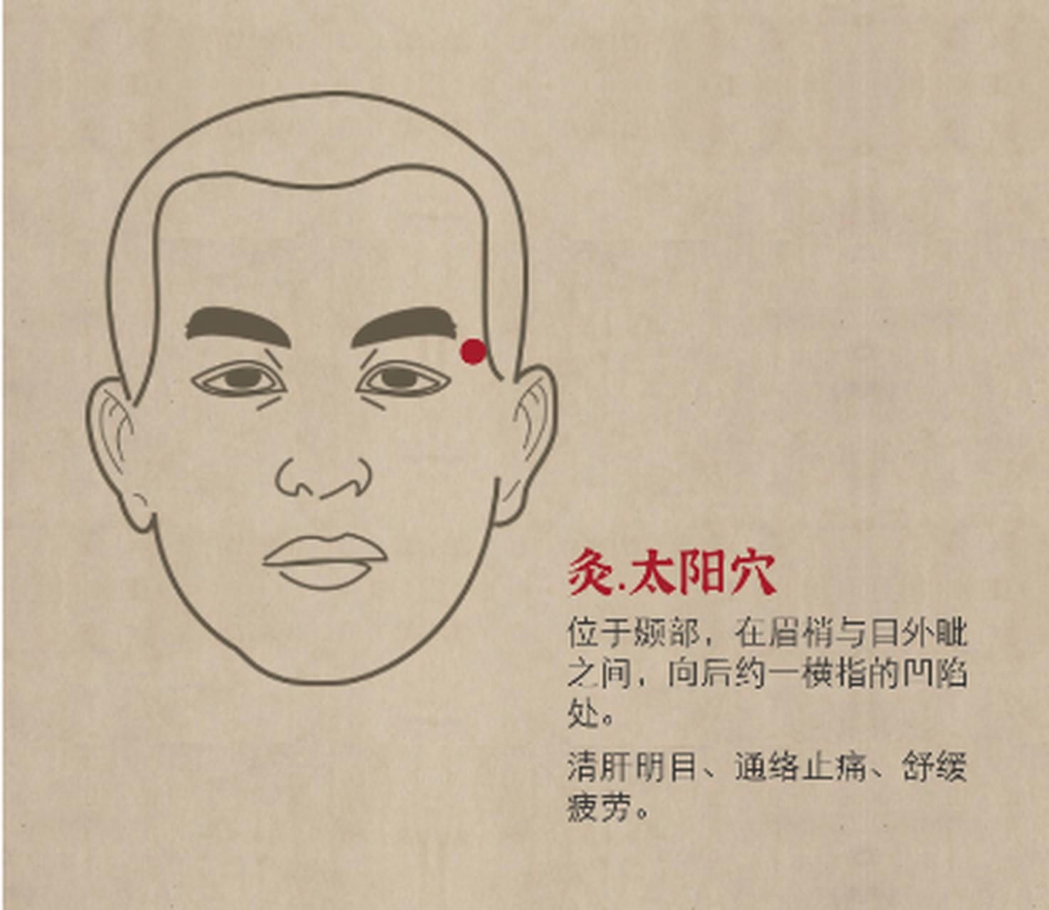 太阳穴是人体头部的重要穴位,在中医经络学上被称为"经外奇穴".
