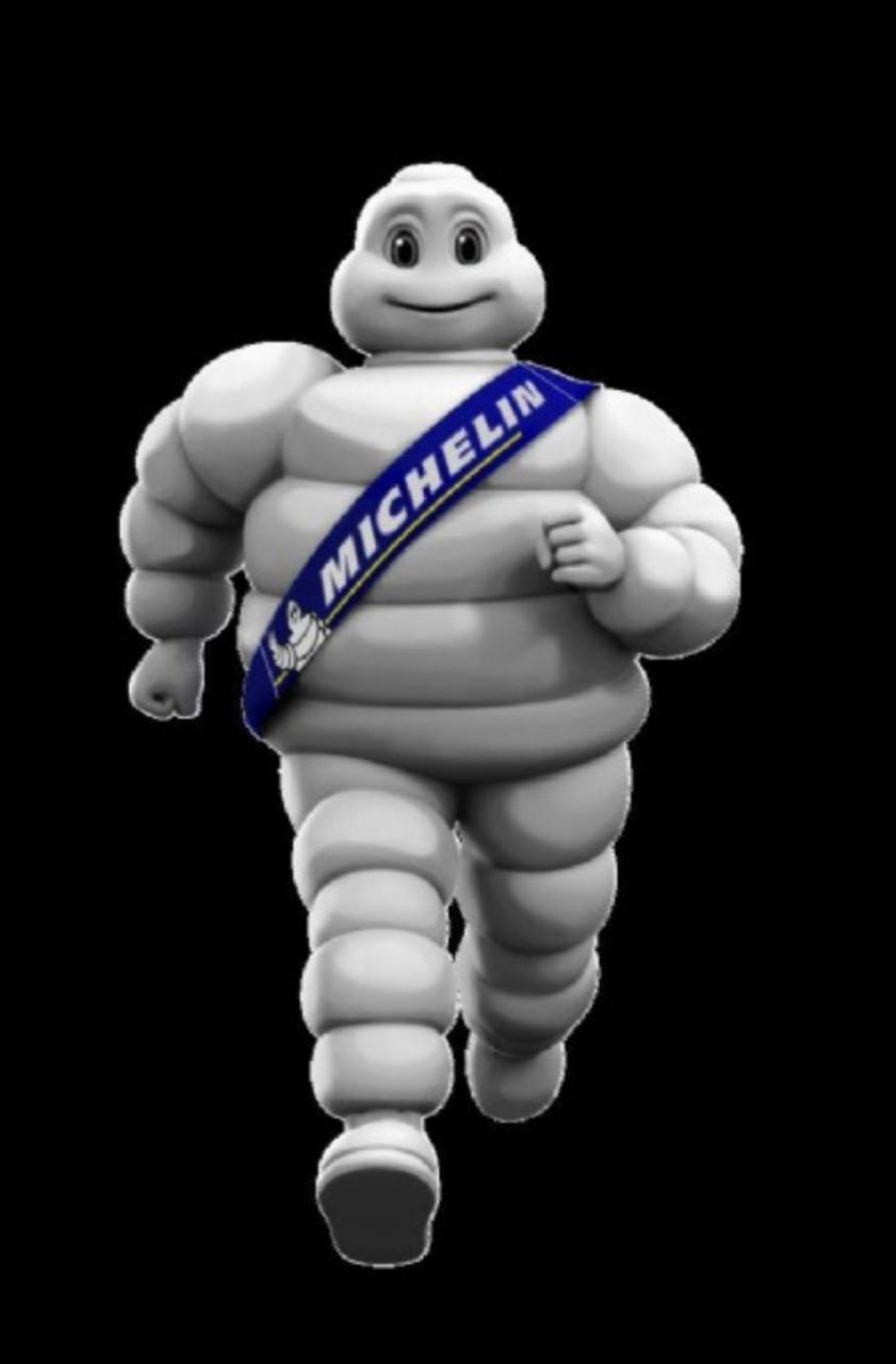 网友:米其林轮胎宝宝![左捂脸]