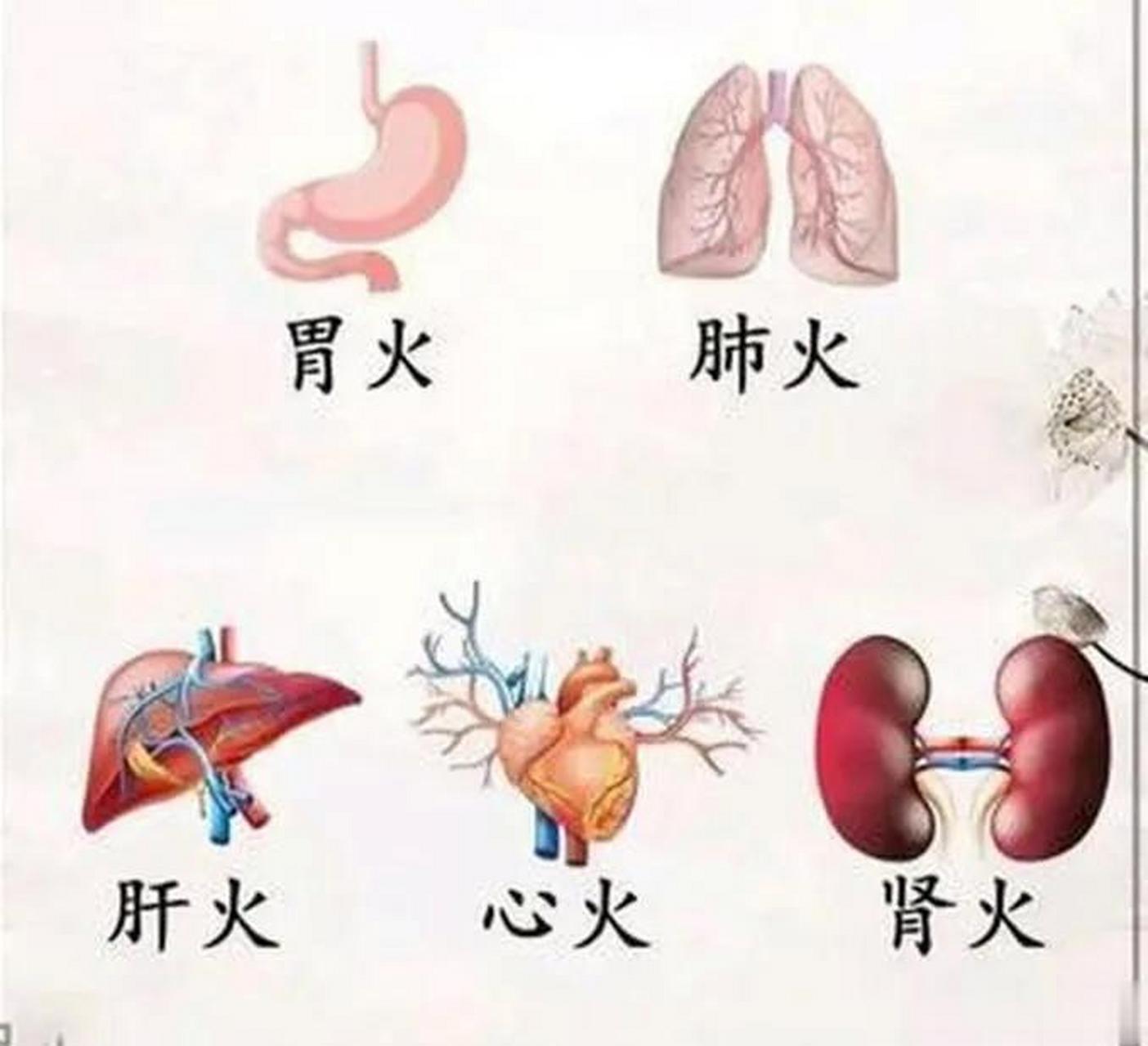 五脏上火症状各不一样1,肺火肺实火肺实火多由外部或者内部燥火所引起
