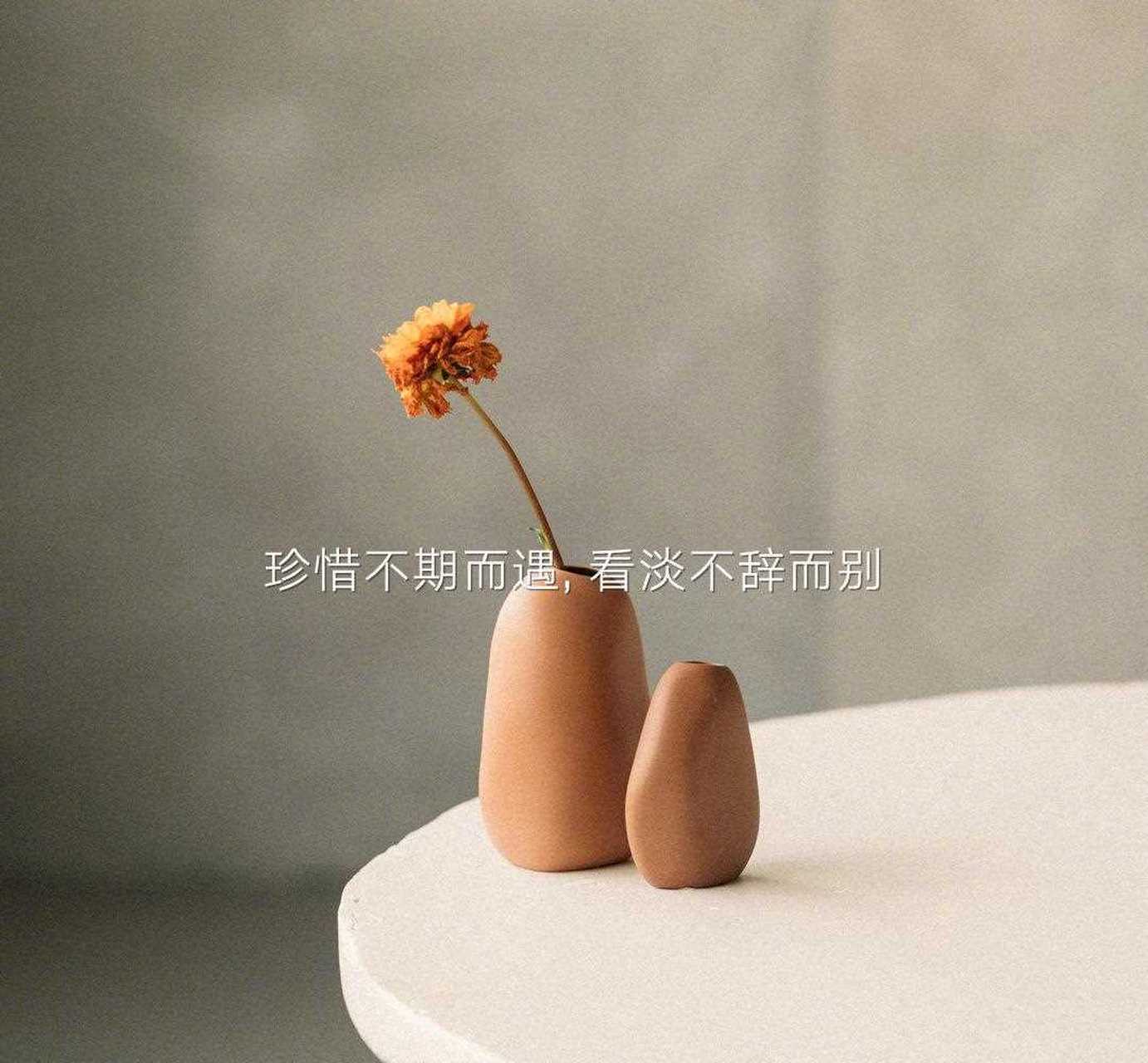 珍惜不期而遇,看淡不辞而别[不高兴]