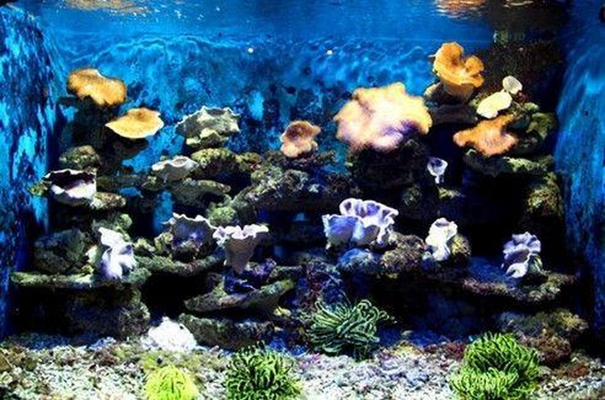 说走就走的旅行##慢游周末 玩go成都# 尧庙海洋乐园:在临汾好玩的