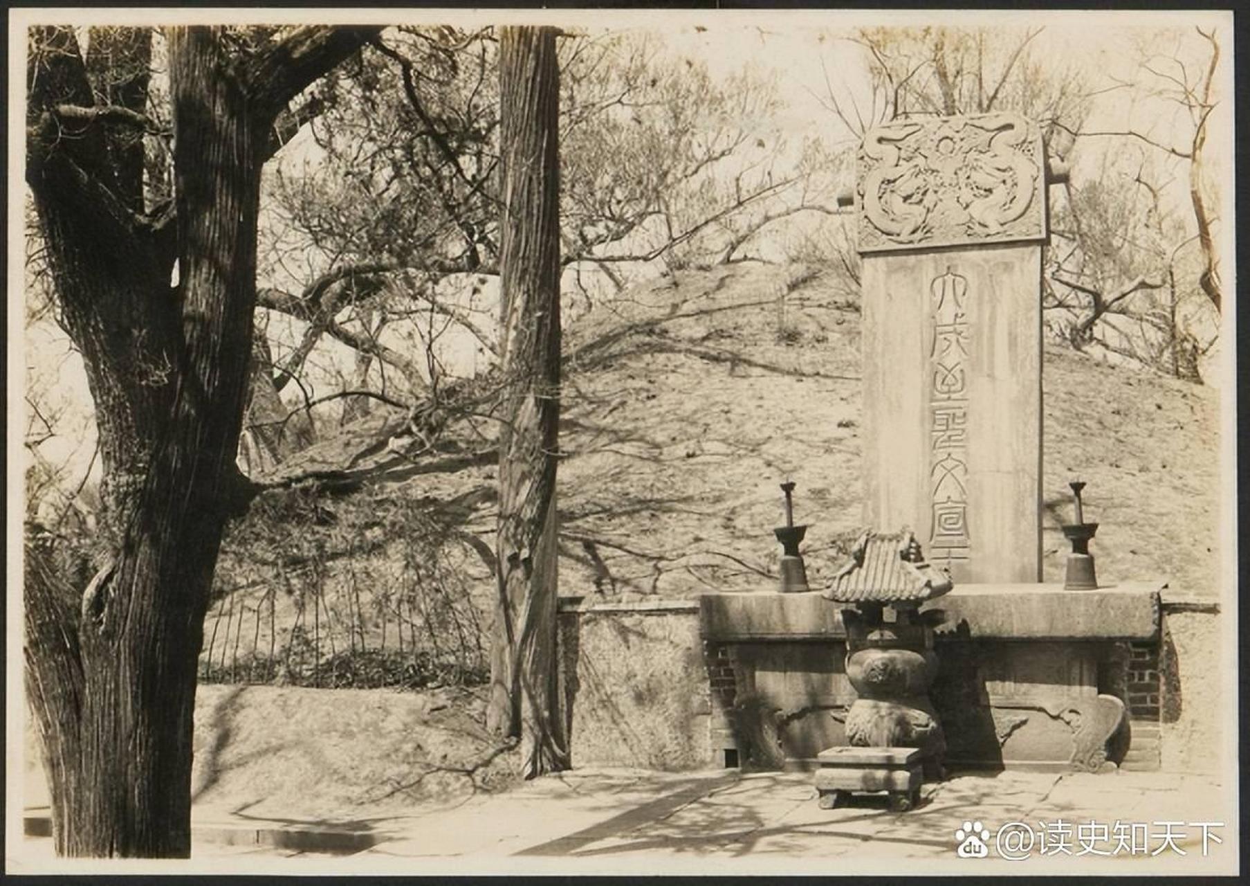 孔子墓位于曲阜孔林中心位置.