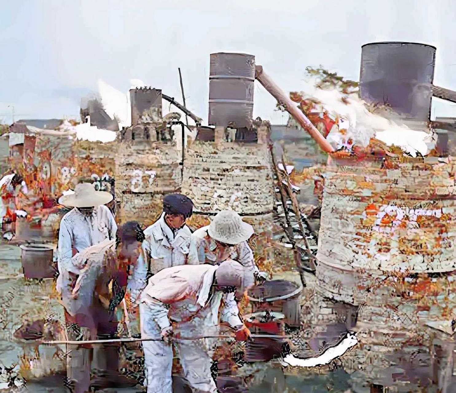 这是1959年正在"大炼钢铁"的社员们,当时的大炼钢铁,小高炉遍布全国