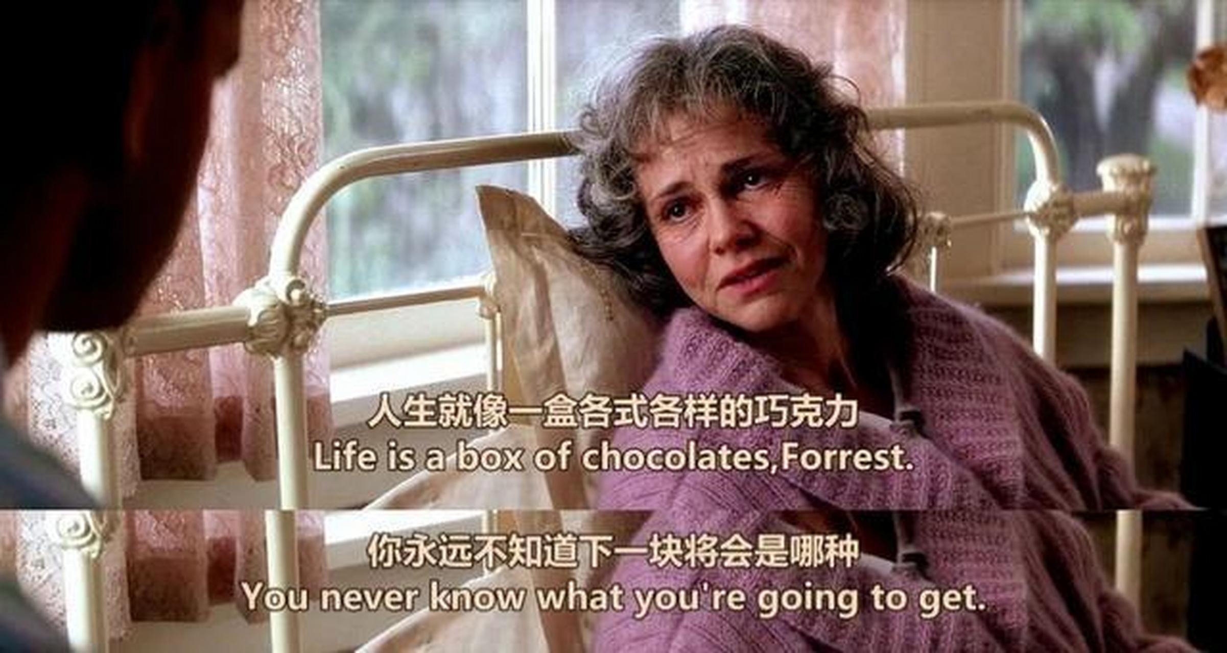 生活就像一盒巧克力,你永远不知道你会得到什么.