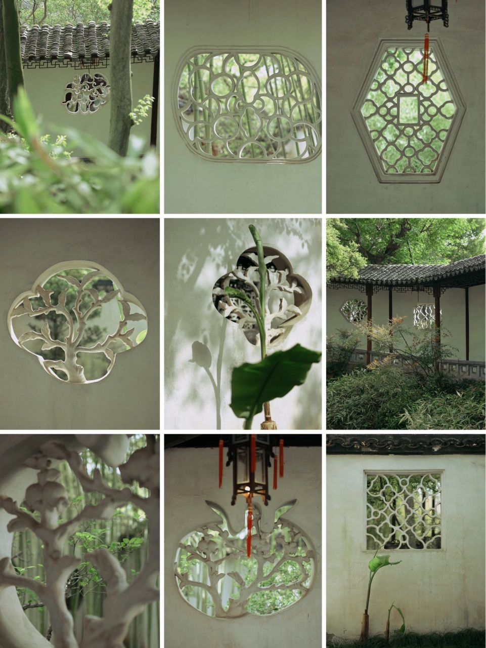 巧于因借,虚实相生 |  沧浪亭花窗 著名建筑大师贝聿铭曾说过,"在西方