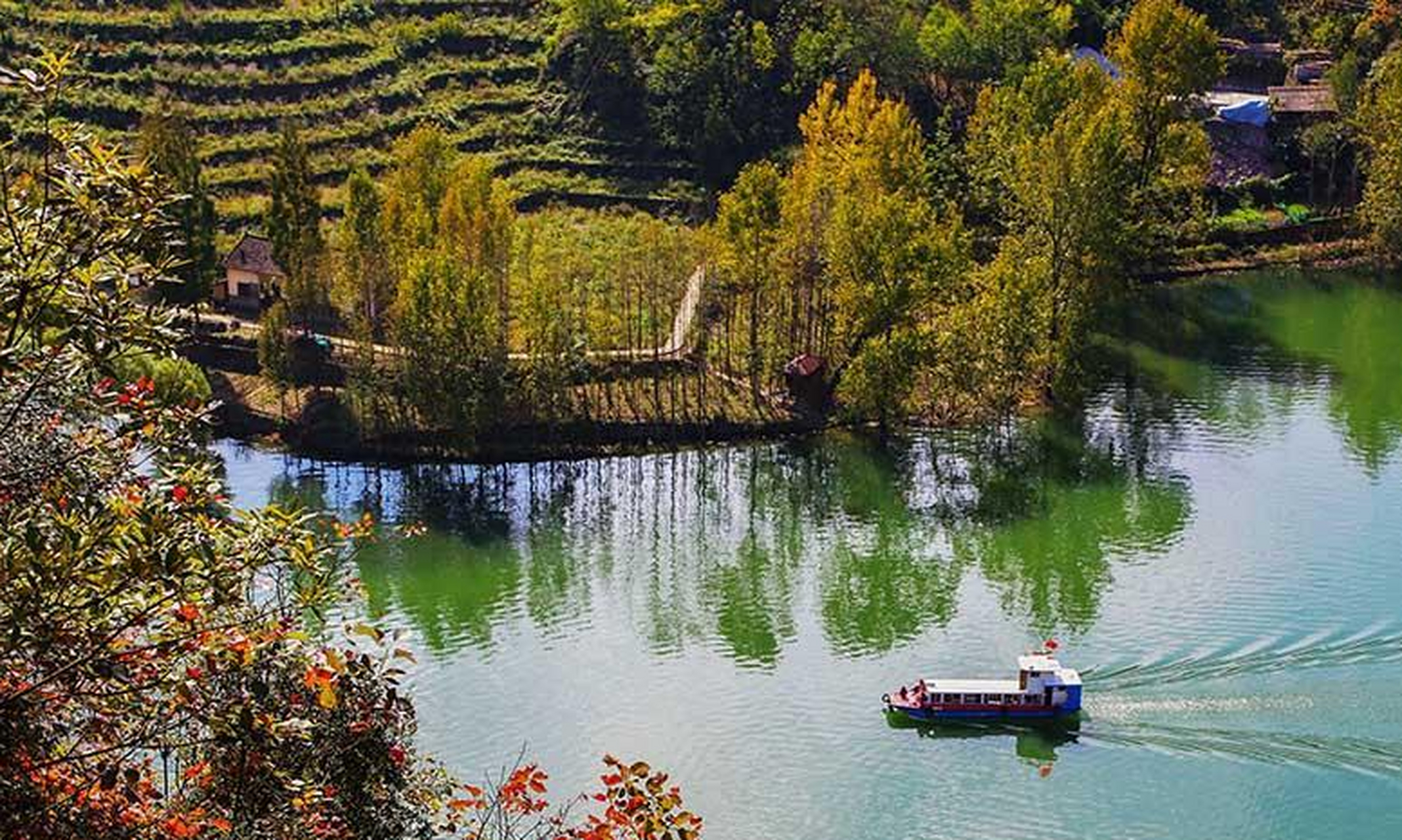 湖北省襄阳市谷城县,游船行驶在黄叶掩映的南河上,宛如画中游.